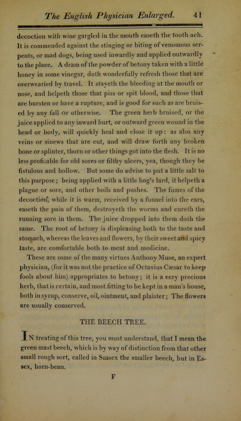 decoction with wine gargled in the mouth easeth the tooth-ach. It is commended against the stinging or biting of venomous ser- pents, or mad dogs, being used inwardly and applied outwardly to the place. A dram of the powder of betony taken with a little honey in some vinegar, doth wonderfully refresh those that are overwearied by travel. It stayeth the bleeding at the mouth or nose, and helpeth those that piss or spit blood, and those that are bursten or have a rupture, and is good for such as are bruis- ed by any fall or otherwise. The green herb bruised, or the juice applied to any inward hurt, or outward green wound in the head or body, will quickly heal and close it up: as also any veins or sinews that are cut, and will draw forth any broken bone or splinter, thorn or other things got into the flesh. It is no less profitable for old sores or filthy ulcers, yea, though they be fistulous and hollow. But some do advise to put a little salt to this purpose; being applied with a little hog’s lard, it helpeth a plague or sore, and other boils and pushes. The fumes of the decoction* while it is warm, received by a funnel into the ears, easeth the pain of them, destroyeth the worms and cureth the running sore in them. The juice dropped into them doth the same. The root of betony is displeasing both to the taste and stomach, whereas the leaves and flowers, by their sw eet and spicy taste, are comfortable both to meat and medicine. These are some of the many virtues Anthony Muse, an expert physician, (for it was not the practice of Octavius Ca;sar to keep fools about him) appropriates to betony; it is a very precious herb, that is certain, and most fitting to be kept in a man’s house, both in syrup, conserve, oil, ointment, and plaister; The flowers are usually conserved. THE BEECH TREE. In treating of this tree, you must understand, that I mean the green mast beech, which is by w ay of distinction from that other small rough sort, called in Sussex the smaller beech, but in Es- sex, horn-bean. F