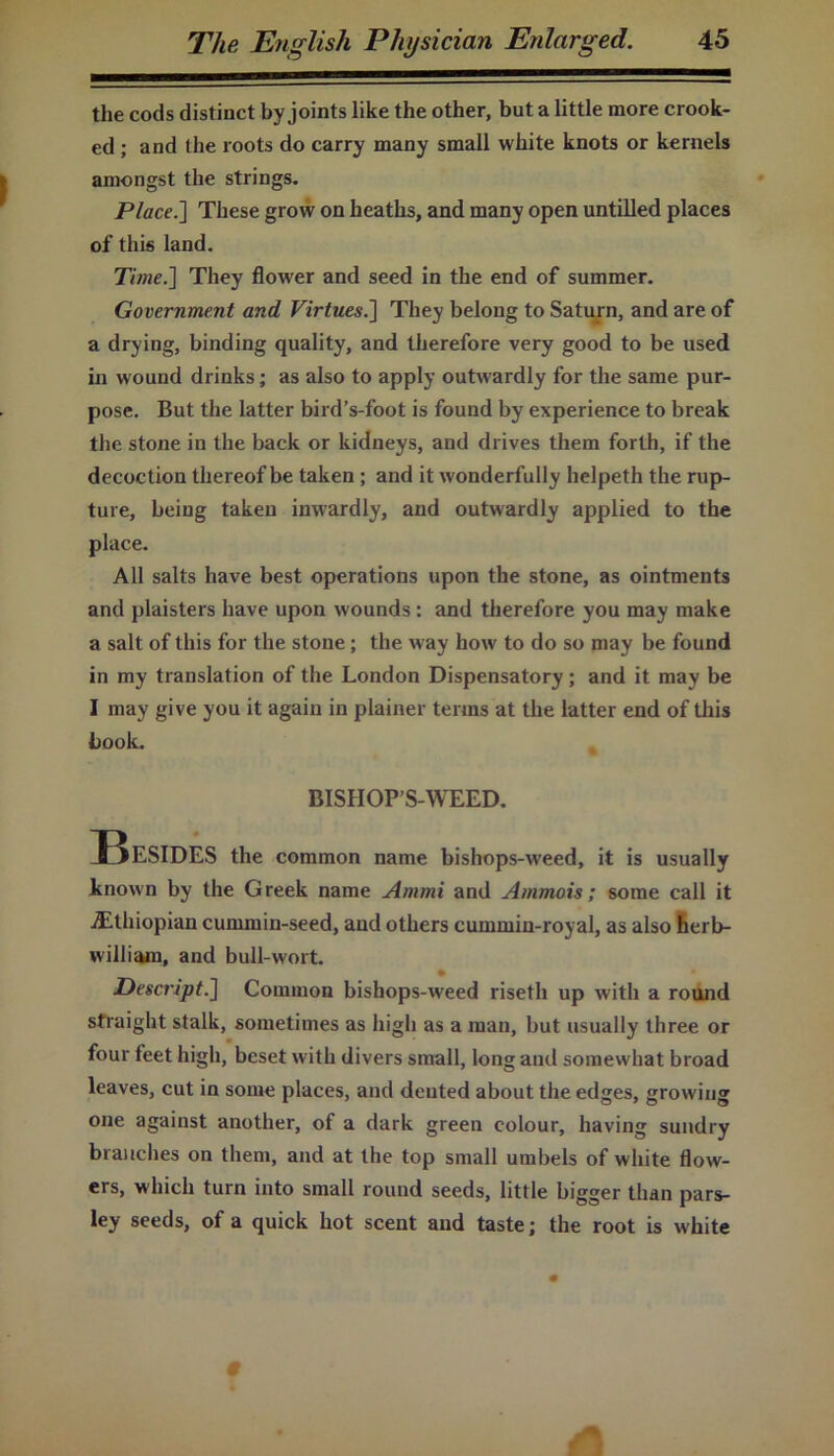 the cods distinct by joints like the other, but a little more crook- ed ; and the roots do carry many small white knots or kernels amongst the strings. Place.] These grow on heaths, and many open untilled places of this land. Time.] They flower and seed in the end of summer. Government and Virtues.] They belong to Saturn, and are of a drying, binding quality, and therefore very good to be used in wound drinks; as also to apply outwardly for the same pur- pose. But the latter bird’s-foot is found by experience to break the stone in the back or kidneys, and drives them forth, if the decoction thereof be taken ; and it wonderfully helpeth the rup- ture, being taken inwardly, and outwardly applied to the place. All salts have best operations upon the stone, as ointments and plaisters have upon wounds: and therefore you may make a salt of this for the stone; the way how to do so may be found in my translation of the London Dispensatory; and it may be I may give you it again in plainer terms at the latter end of this book. BISHOP’S-WEED. Besides the common name bishops-weed, it is usually known by the Greek name Ammi and Ammois; some call it ^Ethiopian cummin-seed, and others cummin-royal, as also herb- william, and bull-wort. Descript.] Common bishops-weed riseth up with a round straight stalk, sometimes as high as a man, but usually three or four feet high, beset with divers small, long and somewhat broad leaves, cut in some places, and deuted about the edges, growing one against another, of a dark green colour, having sundry branches on them, and at the top small umbels of white flow- ers, which turn into small round seeds, little bigger than pars- ley seeds, of a quick hot scent and taste; the root is white