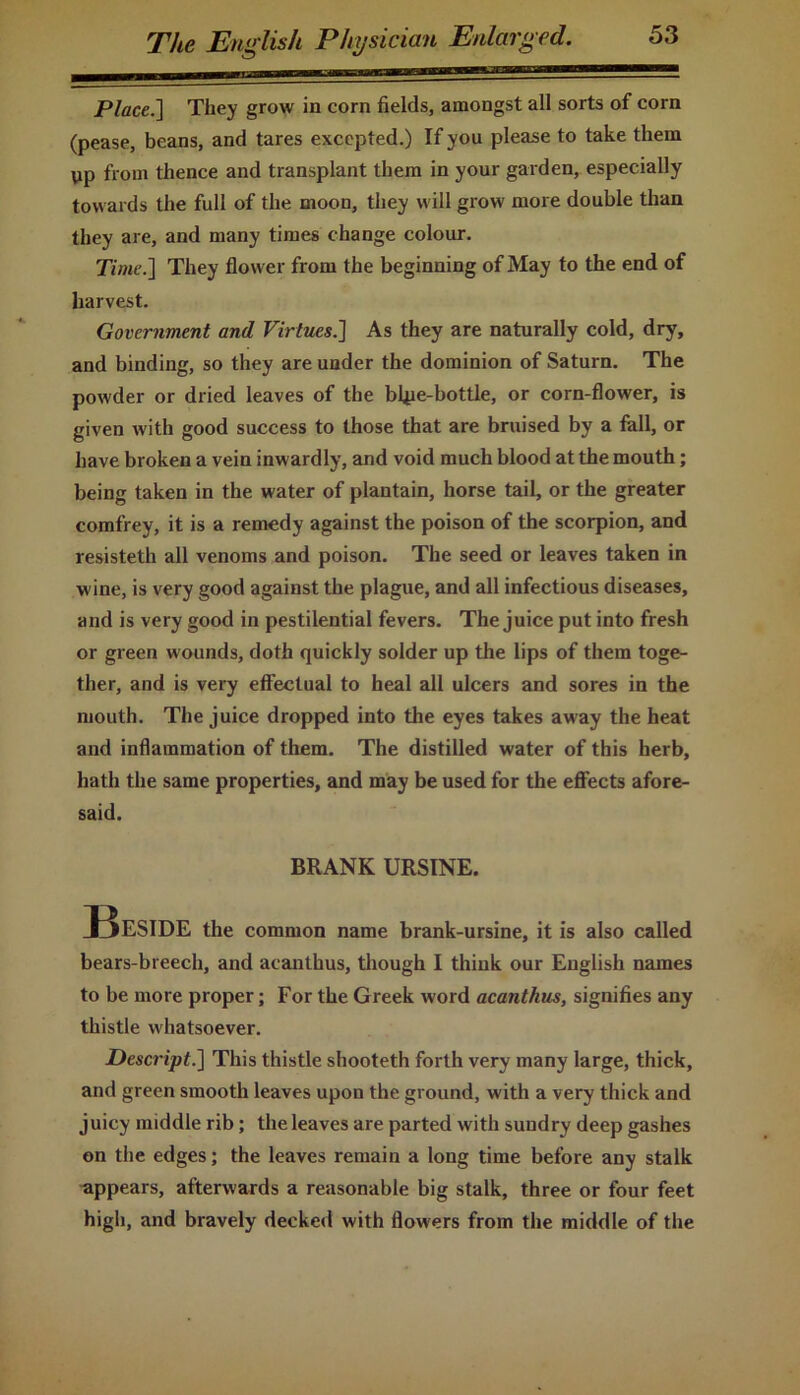 ^nggama—juiiz—BaaMg Place.] They grow in corn fields, amongst all sorts of corn (pease, beans, and tares excepted.) If you please to take them yp from thence and transplant them in your garden, especially towards the full of the moon, they will grow more double than they are, and many times change colour. Time.] They flow er from the beginning of May to the end of harvest. Government and Virtues.] As they are naturally cold, dry, and binding, so they are under the dominion of Saturn. The powder or dried leaves of the b4ie-bottle, or corn-flower, is given with good success to those that are bruised by a fall, or have broken a vein inwardly, and void much blood at the mouth; being taken in the water of plantain, horse tail, or the greater comfrey, it is a remedy against the poison of the scorpion, and resisteth all venoms and poison. The seed or leaves taken in wine, is very good against the plague, and all infectious diseases, and is very good in pestilential fevers. The juice put into fresh or green wounds, doth quickly solder up the lips of them toge- ther, and is very effectual to heal all ulcers and sores in the mouth. The juice dropped into the eyes takes away the heat and inflammation of them. The distilled water of this herb, hath the same properties, and may be used for the effects afore- said. BRANK URSINE. Beside the common name brank-ursine, it is also called bears-breech, and acanthus, though I think our English names to be more proper; For the Greek word acanthus, signifies any thistle whatsoever. Descript.] This thistle shooteth forth very many large, thick, and green smooth leaves upon the ground, with a very thick and juicy middle rib; the leaves are parted with sundry deep gashes on the edges; the leaves remain a long time before any stalk appears, afterwards a reasonable big stalk, three or four feet high, and bravely decked with flowers from the middle of the