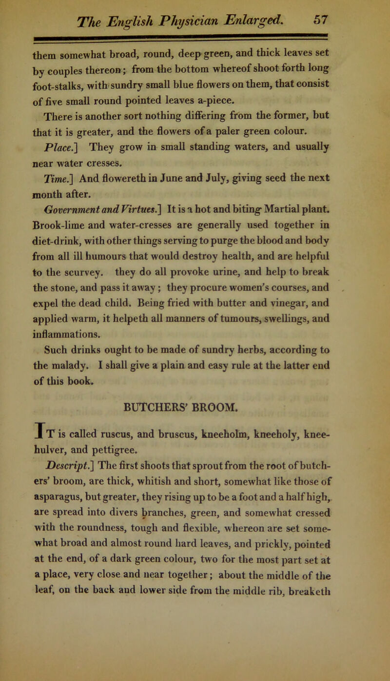 them somewhat broad, round, deep green, and thick leaves set by couples thereon; from the bottom whereof shoot forth long foot-stalks, with sundry small blue flowers on them, that consist of five small round pointed leaves a-piece. There is another sort nothing differing from the former, but that it is greater, and the flowers of a paler green colour. Place.] They grow in small standing waters, and usually near water cresses. Time.] And flowereth in June and July, giving seed the next month after. Government and Virtues.] It is a hot and biting- Martial plant. Brook-lime and water-cresses are generally used together in diet-drink, with other things serving to purge the blood and body from all ill humours that would destroy health, and are helpful to the scurvey. they do all provoke urine, and help to break the stone, and pass it away; they procure women’s courses, and expel the dead child. Being fried with butter and vinegar, and applied warm, it helpeth all manners of tumours, swellings, and inflammations. Such drinks ought to be made of sundry herbs, according to the malady. I shall give a plain and easy rule at the latter end of this book. BUTCHERS’ BROOM. It is called ruscus, and bruscus, kneeholm, kneeholy, knee- hulver, and pettigree. Descript.] The first shoots that sprout from the root of butch- ers’ broom, are thick, whitish and short, somewhat like those of asparagus, but greater, they rising up to be a foot and a half high, are spread into divers branches, green, and somewhat cressed with the roundness, tough and flexible, whereon are set some- what broad and almost round hard leaves, and prickly, pointed at the end, of a dark green colour, two for the most part set at a place, very close and near together; about the middle of the leaf, on the back and lower side from the middle rib, breaketli