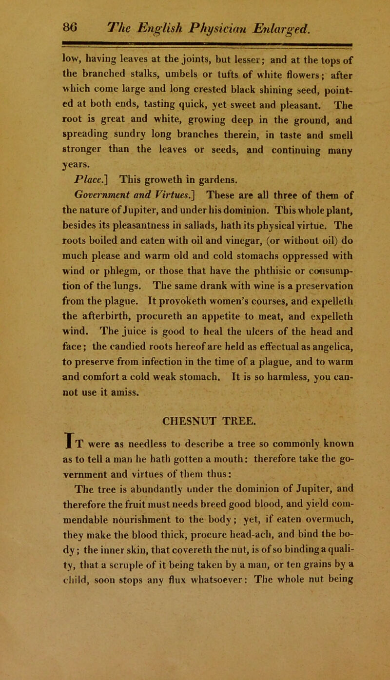 low, having leaves at the joints, but lesser; and at the tops of the branched stalks, umbels or tufts of white flowers; after which come large and long crested black shining seed, point- ed at both ends, tasting quick, yet sweet and pleasant. The root is great and white, growing deep in the ground, and spreading sundry long branches therein, in taste and smell stronger than the leaves or seeds, and continuing many years. Place.] This groweth in gardens. Government and Virtues.] These are all three of them of the nature of Jupiter, and under his dominion. This whole plant, besides its pleasantness in sallads, hath its physical virtue. The roots boiled and eaten with oil and vinegar, (or without oil) do much please and warm old and cold stomachs oppressed with wind or phlegm, or those that have the phthisic or consump- tion of the lungs. The same drank with wine is a preservation from the plague. It provoketh women’s courses, and expelleth the afterbirth, procureth an appetite to meat, and expelleth wind. The juice is good to heal the ulcers of the head and face; the candied roots hereof are held as effectual as angelica, to preserve from infection in the time of a plague, and to warm and comfort a cold weak stomach. It is so harmless, you can- not use it amiss. CHESNUT TREE. Xt were as needless to describe a tree so commonly known as to tell a man he hath gotten a mouth: therefore take the go- vernment and virtues of them thus: The tree is abundantly under the dominion of Jupiter, and therefore the fruit must needs breed good blood, and yield com- mendable nourishment to the body; yet, if eaten overmuch, they make the blood thick, procure head-ach, and bind the bo- dy ; the inner skin, that covereth the nut, is of so binding a quali- ty, that a scruple of it being taken by a man, or ten grains by a child, soon stops any flux whatsoever: The whole nut being