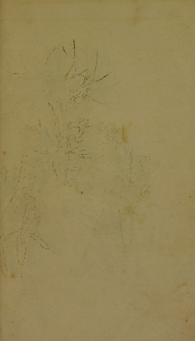 . \ * 7 / . ? f / . \ / / > 5.. j • J •. * l * { i . s V \ •* ’i *** *