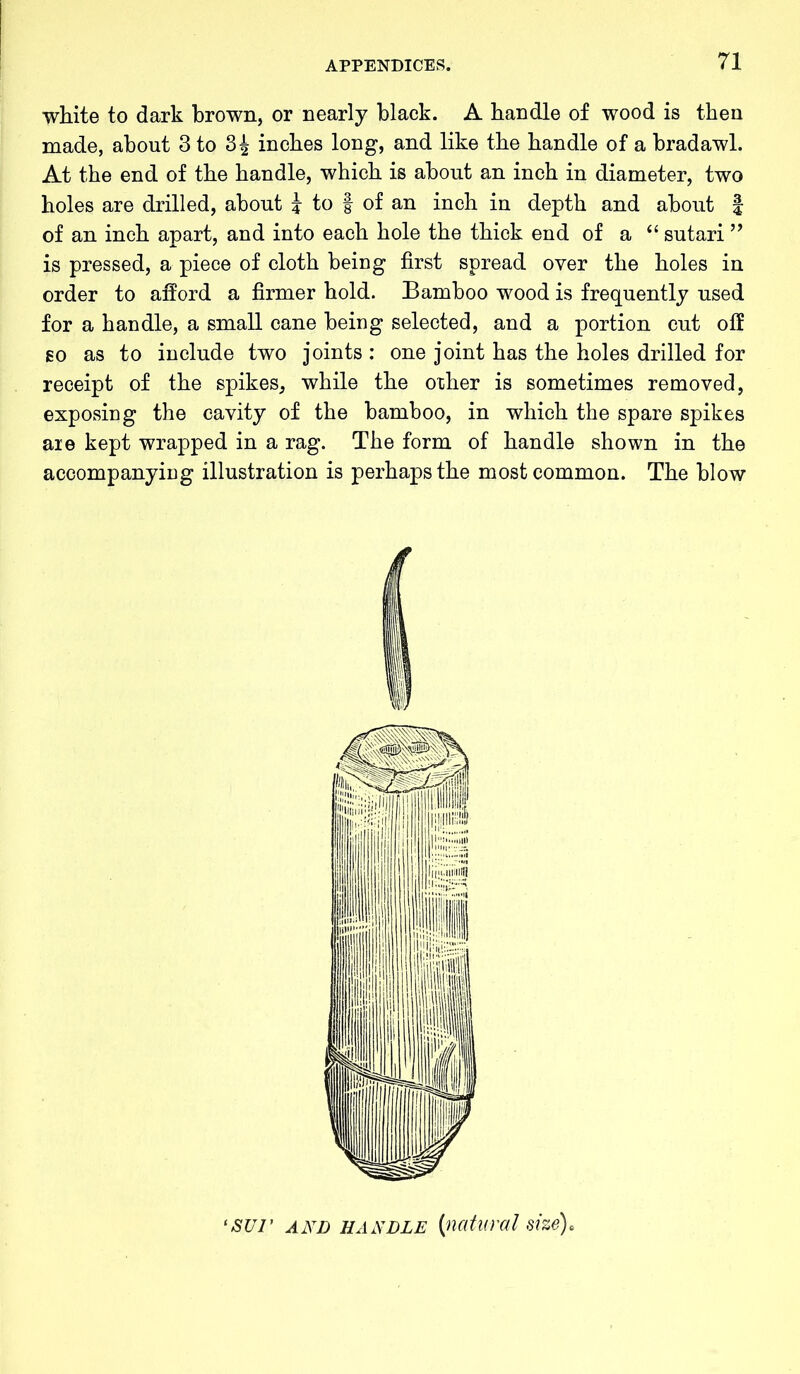 white to dark brown, or nearly black. A handle of wood is then made, about 3 to 3^ inches long, and like the handle of a bradawl. At the end of the handle, which is about an inch in diameter, two holes are drilled, about J to | of an inch in depth and about f of an inch apart, and into each hole the thick end of a “ sutari ” is pressed, a piece of cloth being first spread over the holes in order to afford a firmer hold. Bamboo wood is frequently used for a handle, a small cane being selected, and a portion cut off so as to include two joints : one joint has the holes drilled for receipt of the spikes, while the other is sometimes removed, exposing the cavity of the bamboo, in which the spare spikes aie kept wrapped in a rag. The form of handle shown in the accompanying illustration is perhaps the most common. The blow ‘sur and handle (natural size).