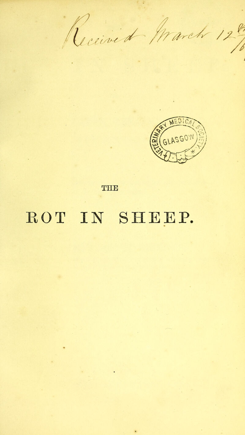 THE EOT IN SHEEP.