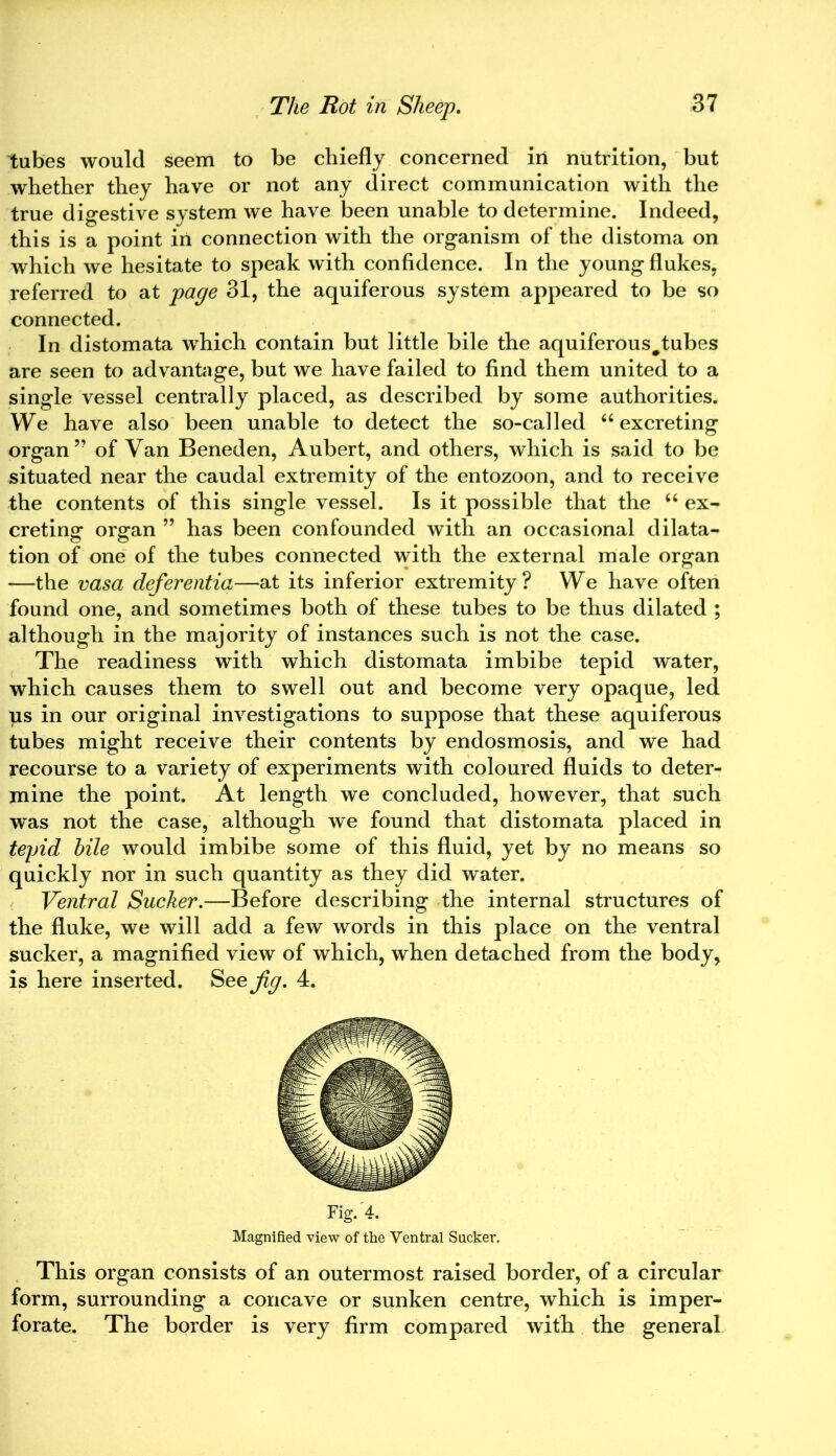tubes would seem to be chiefly concerned iri nutrition, but whether they have or not any direct communication with the true digestive system we have been unable to determine. Indeed, this is a point in connection with the organism of the distoma on which we hesitate to speak with confidence. In the young flukes, referred to at page 31, the aquiferous system appeared to be so connected. In distomata which contain but little bile the aquiferous#tubes are seen to advantage, but we have failed to find them united to a single vessel centrally placed, as described by some authorities. We have also been unable to detect the so-called “excreting organ” of Van Beneden, Aubert, and others, which is said to be situated near the caudal extremity of the entozoon, and to receive the contents of this single vessel. Is it possible that the “ ex- creting organ ” has been confounded with an occasional dilata- tion of one of the tubes connected with the external male organ —the vasa deferentia—at its inferior extremity ? We have often found one, and sometimes both of these tubes to be thus dilated ; although in the majority of instances such is not the case. The readiness with which distomata imbibe tepid water, which causes them to swell out and become very opaque, led us in our original investigations to suppose that these aquiferous tubes might receive their contents by endosmosis, and we had recourse to a variety of experiments with coloured fluids to deter- mine the point. At length we concluded, however, that such was not the case, although we found that distomata placed in tepid hile would imbibe some of this fluid, yet by no means so quickly nor in such quantity as they did water. Ventral Sucker.—Before describing the internal structures of the fluke, we will add a few words in this place on the ventral sucker, a magnified view of which, when detached from the body, is here inserted. See Jig. 4. Fig.'4. Magnified view of the Ventral Sucker. This organ consists of an outermost raised border, of a circular form, surrounding a concave or sunken centre, which is imper- forate. The border is very firm compared with the general
