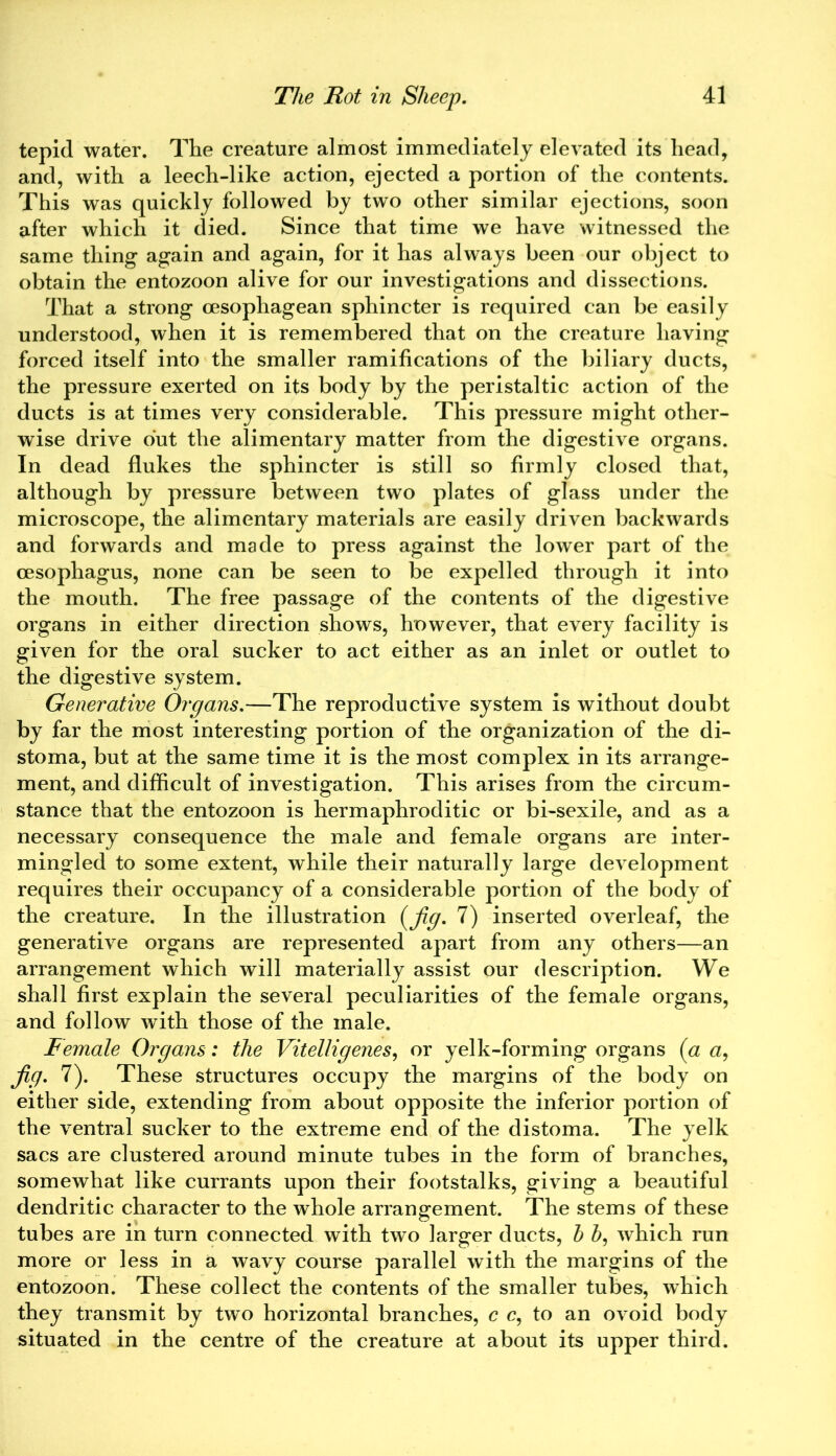 tepid water. The creature almost immediately elevated its head, and, with a leech-like action, ejected a portion of the contents. This was quickly followed by two other similar ejections, soon after which it died. Since that time we have witnessed the same thing again and again, for it has always been our object to obtain the entozoon alive for our investigations and dissections. That a strong cesophagean sphincter is required can be easily understood, when it is remembered that on the creature having forced itself into the smaller ramifications of the biliary ducts, the pressure exerted on its body by the peristaltic action of the ducts is at times very considerable. This pressure might other- wise drive out the alimentary matter from the digestive organs. In dead flukes the sphincter is still so firmly closed that, although by pressure between two plates of glass under the microscope, the alimentary materials are easily driven backwards and forwards and made to press against the lower part of the oesophagus, none can be seen to be expelled through it into the mouth. The free passage of the contents of the digestive organs in either direction shows, however, that every facility is given for the oral sucker to act either as an inlet or outlet to the digestive system. Generative Organs.—The reproductive system is without doubt by far the most interesting portion of the organization of the di- stoma, but at the same time it is the most complex in its arrange- ment, and difficult of investigation. This arises from the circum- stance that the entozoon is hermaphroditic or bi-sexile, and as a necessary consequence the male and female organs are inter- mingled to some extent, while their naturally large development requires their occupancy of a considerable portion of the body of the creature. In the illustration (jig. 7) inserted overleaf, the generative organs are represented apart from any others—an arrangement which will materially assist our description. We shall first explain the several peculiarities of the female organs, and follow with those of the male. Female Organs: the Vitelligenes, or yelk-forming organs (a a, jig. 7). These structures occupy the margins of the body on either side, extending from about opposite the inferior portion of the ventral sucker to the extreme end of the distoma. The yelk sacs are clustered around minute tubes in the form of branches, somewhat like currants upon their footstalks, giving a beautiful dendritic character to the whole arrangement. The stems of these tubes are in turn connected with two larger ducts, b which run more or less in a wavy course parallel with the margins of the entozoon. These collect the contents of the smaller tubes, which they transmit by two horizontal branches, c c, to an ovoid body situated in the centre of the creature at about its upper third.
