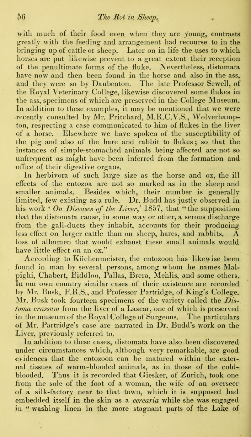 with much of their food even when they are young, contrasts greatly with the feeding and arrangement had recourse to in the bringing up of cattle or sheep. Later on in life the uses to which horses are put likewise prevent to a great extent their reception of the penultimate forms of the fluke. Nevertheless, distomata have now and then been found in the horse and also in the ass, and they were so by Daubenton. The late Professor Sewell, of the Royal Veterinary College, likewise discovered some flukes in the ass, specimens of which are preserved in the College Museum. In addition to these examples, it may be mentioned that we were recently consulted by Mr. Pritchard, M.R.C.V.S., Wolverhamp- ton, respecting a case communicated to him of flukes in the liver of a horse. Elsewhere we have spoken of the susceptibility of the pig and also of the hare and rabbit to flukes ; so that the instances of simple-stomached animals being affected are not so unfrequent as might have been inferred from the formation and office of their digestive organs. In herbivora of such large size as the horse and ox, the ill effects of the entozoa are not so marked as in the sheep and smaller animals. Besides which, their number is generally limited, few existing as a rule. Dr. Budd has justly observed in his work 6 On Diseases of the LiverJ 1857, that “the supposition that the distomata cause, in some way or other, a serous discharge from the gall-ducts they inhabit, accounts for their producing less effect on larger cattle than on sheep, hares, and rabbits. A loss of albumen that would exhaust these small animals would have little effect on an ox.” According to Kiichenmeister, the entozoon has likewise been found in man by several persons, among whom he names Mal- pighi, Chabert, Biddloo, Pallas, Brera, Mehlis, and some others. In our own country similar cases of their existence are recorded by Mr. Busk, F.R.S., and Professor Partridge, of King’s College. Mr. Busk took fourteen specimens of the variety called the Dis- toma crassum from the liver of a Lascar, one of which is preserved in the museum of the Royal College of Surgeons. The particulars of Mr. Partridge’s case are narrated in Dr. Budd’s work on the Liver, previously referred to. In addition to these cases, distomata have also been discovered under circumstances which, although very remarkable, are good evidences that the entozoon can be matured within the exter- nal tissues of warm-blooded animals, as in those of the cold- blooded. Thus it is recorded that Giesker, of Zurich, took one from the sole of the foot of a woman, the wife of an overseer of a silk-factory near to that town, which it is supposed had embedded itself in the skin as a cercaria while she was engaged in “ washing linen in the more stagnant parts of the Lake of