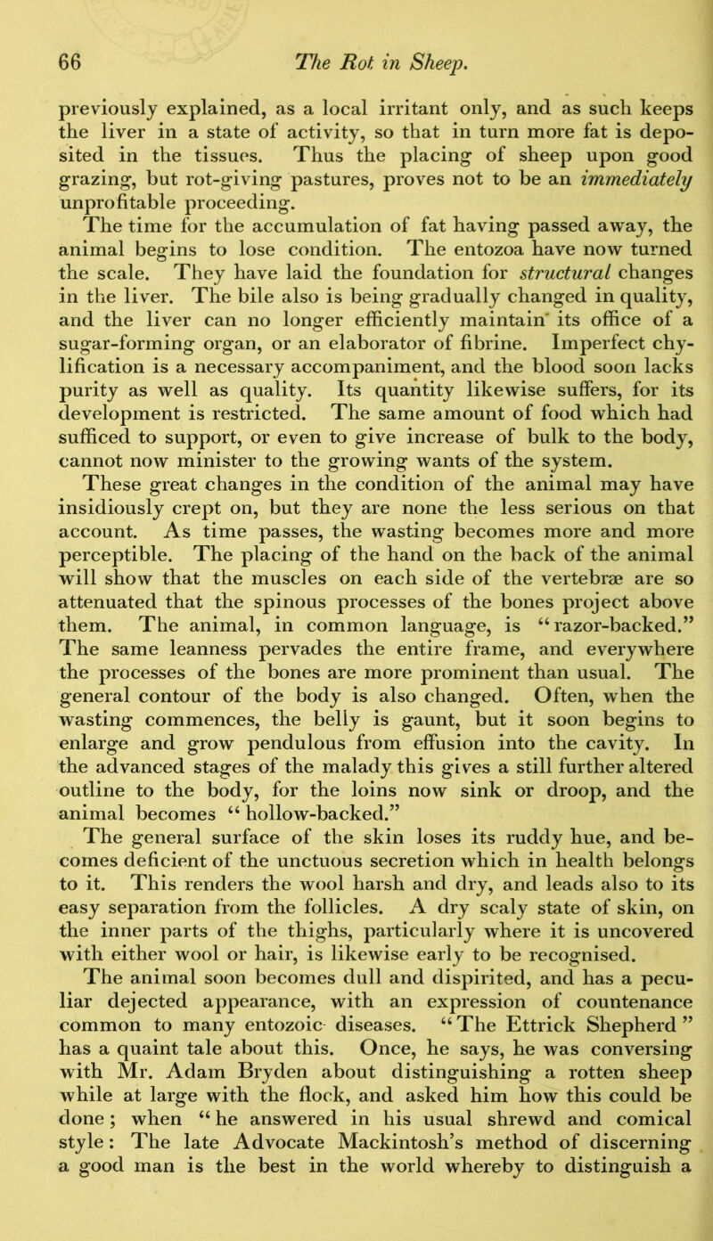 previously explained, as a local irritant only, and as such keeps the liver in a state of activity, so that in turn more fat is depo- sited in the tissues. Thus the placing of sheep upon good grazing, but rot-giving pastures, proves not to be an immediately unprofitable proceeding. The time for the accumulation of fat having passed away, the animal begins to lose condition. The entozoa have now turned the scale. They have laid the foundation for structural changes in the liver. The bile also is being gradually changed in quality, and the liver can no longer efficiently maintain' its office of a sugar-forming organ, or an elaborator of fibrine. Imperfect chy- lification is a necessary accompaniment, and the blood soon lacks purity as well as quality. Its quantity likewise suffers, for its development is restricted. The same amount of food which had sufficed to support, or even to give increase of bulk to the body, cannot now minister to the growing wants of the system. These great changes in the condition of the animal may have insidiously crept on, but they are none the less serious on that account. As time passes, the wasting becomes more and more perceptible. The placing of the hand on the back of the animal will show that the muscles on each side of the vertebra are so attenuated that the spinous processes of the bones project above them. The animal, in common language, is “razor-backed.” The same leanness pervades the entire frame, and everywhere the processes of the bones are more prominent than usual. The general contour of the body is also changed. Often, when the wasting commences, the belly is gaunt, but it soon begins to enlarge and grow pendulous from effusion into the cavity. In the advanced stages of the malady this gives a still further altered outline to the body, for the loins now sink or droop, and the animal becomes “ hollow-backed.” The general surface of the skin loses its ruddy hue, and be- comes deficient of the unctuous secretion which in health belongs to it. This renders the wool harsh and dry, and leads also to its easy separation from the follicles. A dry scaly state of skin, on the inner parts of the thighs, particularly where it is uncovered with either wool or hair, is likewise early to be recognised. The animal soon becomes dull and dispirited, and has a pecu- liar dejected appearance, with an expression of countenance common to many entozoic diseases. “ The Ettrick Shepherd ” has a quaint tale about this. Once, he says, he was conversing with Mr. Adam Bryden about distinguishing* a rotten sheep while at large with the flock, and asked him how this could be done; when “ he answered in his usual shrewd and comical style: The late Advocate Mackintosh’s method of discerning a good man is the best in the world whereby to distinguish a