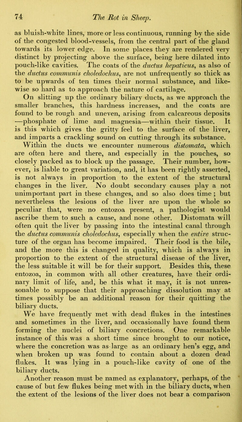as bluish-white lines, more or less continuous, running by the side of the congested blood-vessels, from the central part of the gland towards its lower edge. In some places they are rendered very distinct by projecting above the surface, being here dilated into pouch-like cavities. The coats of the ductus hepaticus, as also of the ductus communis choledoclius, are not unfrequently so thick as to be upwards of ten times their normal substance, and like- wise so hard as to approach the nature of cartilage. On slitting up the ordinary biliary ducts, as we approach the smaller branches, this hardness increases, and the coats are found to be rough and uneven, arising from calcareous deposits —phosphate of lime and magnesia—within their tissue. It is this which gives the gritty feel to the surface of the liver, and imparts a crackling sound on cutting through its substance. Within the ducts we encounter numerous distomata, which are often here and there, and especially in the pouches, so closely packed as to block up the passage. Their number, how- ever, is liable to great variation, and, it has been rightly asserted, is not always in proportion to the extent of the structural changes in the liver. No doubt secondary causes play a not unimportant part in these changes, and so also does time ; but nevertheless the lesions of the liver are upon the whole so peculiar that, were no entozoa present, a pathologist would ascribe them to such a cause, and none other. Distomata will often quit the liver by passing into the intestinal canal through the ductus communis choledochus, especially when the entire struc- ture of the organ has become impaired. Their food is the bile, and the more this is changed in quality, which is always in proportion to the extent of the structural disease of the liver, the less suitable it will be for their support. Besides this, these entozoa, in common with all other creatures, have their ordi- nary limit of life, and, be this what it may, it is not unrea- sonable to suppose that their approaching dissolution may at times possibly be an additional reason for their quitting the biliary ducts. We have frequently met with dead flukes in the intestines and sometimes in the liver, and occasionally have found them forming the nuclei of biliary concretions. One remarkable instance of this was a short time since brought to our notice, where the concretion was as large as an ordinary hen’s egg, and when broken up was found to contain about a dozen dead flukes. It was lying in a pouch-like cavity of one of the biliary ducts. Another reason must be named as explanatory, perhaps, of the cause of but few flukes being met with in the biliary ducts, when the extent of the lesions of the liver does not bear a comparison