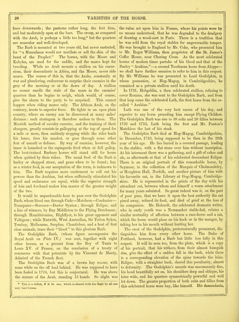 knee downwards; tlie pasterns rather long, the feet firm, and but moderately open at the bars. The croup, as compared with the Arab, is perhaps a little too long,* but the quarters are muscular and well-developed. The Barb is mounted at two years old, hut never castrated, for “ a Mussulman would not mutilate or sell the skin of the beast of the Prophet.” The horses, with the Moors and Kabyles, are used for the saddle, and the mares kept for breeding. While no Arab mounts a stallion on his excur- sions, their descendants in Africa, and the Moors, never ride mares. The reason of this is, that the Arabs, constantly at war and plundering, endeavour to surprise their enemies in the grey of the morning or at the dawn of day. A stallion no sooner smells the stale of the mare in the enemies’ quarters than he begins to neigh, which would, of course, give the alarm to the party to be surprised. This cannot happen when riding mares only. The African Arab, on the contrary, trusts to superior force. He fights in an open plain country, where an enemy can be discovered at many miles’ distance : such stratagem is therefore useless to them. The Moorish method of cavalry exercise, and the training of their chargers, greatly consists in gallopping at the top of speed for a mile or more, then suddenly stopping while the rider hurls his lance, fires his musket, or goes through some other feat of assault or defence. By way of exercise, however, the lance is launched or the espingarda fired when at full gallop. The best-trained Barbary horses will stand still for hours when quitted by their riders. The usual food of the Barb is barley or chopped straw, and grass v/hen to be found; hay as a winter feed, in our acceptation of the term, is unknown to him. The Barb requires more excitement to call out his powers than the Arabian, but when sufficiently stimulated his speed and endurance are equal, while the superior strength of loin and forehand makes him master of the greater weight of the two. It would be unpardonable here to pass over the Godolphin Barb, whose blood ran through Cade—Matchem—Conductor— Trumpator—Sorcerer—Doctor Syntax ; through Eclipse, and a line of winners, by Bay Middleton to the Flying Dutchman; through Hambletonian, Highflyer, to his great opponent and Voltigeur; while Nutwith, West Australian, Sir Tatton Sykes, Tomboy, Melbourne, Surplice, Chanticleer, and a host of first class animals, trace their “ blood ” to this glorious Barb. The Godolphin Barb, (whose figure accompanies the Royal Arab on Plate IV.) was sent, together with eight other horses, as a present from the Bey of Tunis to Louis XV. of France, on the conclusion of a treaty of commerce with that potentate by the Viscount de Manty, Admiral of the French fleet. The Godolphin Barb was of a brown bay cmour, with some white on the off heel behind. He was supposed to have been foaled in 1724, but this is conjectural. He was above the stature of the Arab, standing 15 hands. So slight was * This is a defect, if it be one, which is shared with the Barb by all our rery best horses. the value set upon him in France, where his points were by no means understood, that he was degraded to the drudgery of drawing a wood-cart in Paris. There is a tradition that he was sold from the royal stables for ungovernable temper. He was brought to England by Mr. Coke, who presented him to Mr. Roger Williams, then proprietor of the St. James’s Coffee House, near Charing Cross. As the most celebrated horses of modern times partake of his blood and that of the Darley “ Arabian,”—a crossed Toorkman horse from Aleppo— we shall have further occasion to refer to him in this respect. By Mr. Williams he was presented to Lord Godolphin, in whose possession, at Hog-Magog, in Cambridgeshire, he remained as a private stallion until his death. In 1731, Hobgoblin, a then celebrated .stallion, refusing to cover Roxana, she was sent to the Godolphin Barb, and from that leap came the celebrated Lath, the first horse from the so- called “ Arabian.” Lath was one of the very best racers of his day, and superior to any horse preceding him except Flying Childers. The Godolphin Barb was sire to 38 colts and 20 fillies between 1732 and 1753, Lath being the first and Mr. Panton’s Matchless the last of his stock. The Godolphin Barb died at Hog-Magog, Cambridgeshire, in December, 1753, being supposed to be then in the 29th year of his age. He lies buried in a covered passage, leading to the stables, with a flat stone over him without inscription. At his interment there was a gathering, and a gift of cakes and ale, as afterwards at that of his celebrated descendant Eclipse. There is an original portrait of this remarkable horse, by Seymour, in the collection of the Marquis of Cholmondeley, at Houghton Hall, Norfolk, and another picture of him with his favourite cat, in the Library at Gog-Magog, Cambridge- shire. He is represented in the prints of the day with his attendant cat, between whom and himself a warm attachment for many years subsisted. So great indeed was it, on the part of poor puss, that we have it upon the best authority the cat pined away, refused its food, and died of grief at the loss of its companion. Mr. Holcroft, the celebrated dramatic writer, who in early youth was a Newmarket stable-lad, relates a similar mutuality of affection between a race-horse and a cat, which the horse would place on his back or in the manger, by taking her in his mouth without hurting her. The crest of the Godolphin, pretematurally prominent, dis- tinguishes him from every other horse. The Duke of Portland, however, had a Barb but little less lofty in this respect. It will be seen too, from the plate, which is a copy of his portrait, that his withers, from their almost humpish rise, give the effect of a sudden fall in the back, while there is a corresponding elevation of the spine towards the loins. Eclipse, with a straighter back, shared this peculiarity, almost to deformity. The Godolphin’s muzzle was uncommonly fine, his head beautifully set on, his shoulders deep and oblique, his loins wide, and his quarters symmetrically powerful and well let down. The greater proportion of both colts and fillies from this celebrated horse were bay, like himself. His descendants,