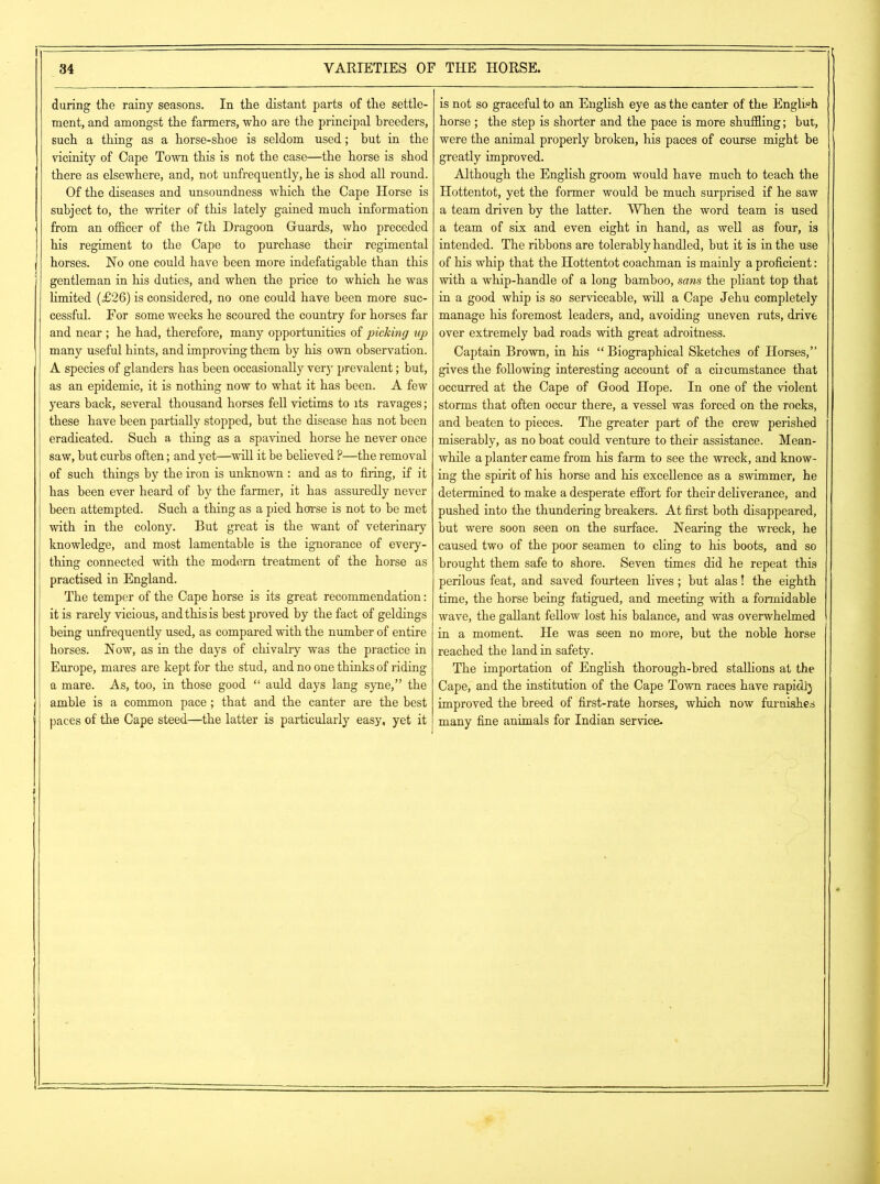 during the rainy seasons. In the distant parts of the settle- ment, and amongst the farmers, who are the principal breeders, such a thing as a horse-shoe is seldom used; but in the vicinity of Cape Town this is not the case—the horse is shod there as elsewhere, and, not unfrequently, he is shod all round. Of the diseases and unsoundness which the Cape Horse is subject to, the writer of this lately gained much information from an officer of the 7th Dragoon Guards, who preceded his regiment to the Cape to purchase their regimental horses. Ho one could have been more indefatigable than this gentleman in his duties, and when the price to which he was limited (£26) is considered, no one could have been more suc- cessful. For some weeks he scoured the country for horses far and near ; he had, therefore, many opportunities of picking up many useful hints, and improving them by his own observation. A species of glanders has been occasionally very prevalent; but, as an epidemic, it is nothing now to what it has been. A few years back, several thousand horses fell victims to its ravages; these have been partially stopped, but the disease has not been eradicated. Such a thing as a spavined horse he never once saw, but curbs often; and yet—will it be believed ?—the removal of such things by the iron is unknown : and as to firing, if it has been ever heard of by the farmer, it has assuredly never been attempted. Such a thing as a pied horse is not to be met with in the colony. But great is the want of veterinary knowledge, and most lamentable is the ignorance of every- thing connected with the modern treatment of the horse as practised in England. The temper of the Cape horse is its great recommendation: it is rarely vicious, and this is best proved by the fact of geldings being unfrequently used, as compared with the number of entire horses. Now, as in the days of chivalry was the practice in Europe, mares are kept for the stud, and no one thinks of riding a mare. As, too, in those good “ auld days lang syne,” the amble is a common pace; that and the canter are the best paces of the Cape steed—the latter is particularly easy, yet it is not so graceful to an English eye as the canter of the English horse ; the step is shorter and the pace is more shuffling; but, were the animal properly broken, his paces of course might be greatly improved. Although the English groom would have much to teach the Hottentot, yet the former would be much surprised if he saw a team driven by the latter. When the word team is used a team of six and even eight in hand, as well as four, is intended. The ribbons are tolerably handled, but it is in the use of his whip that the Hottentot coachman is mainly a proficient: with a whip-handle of a long bamboo, sans the pliant top that in a good whip is so serviceable, will a Cape Jehu completely manage his foremost leaders, and, avoiding uneven ruts, drive over extremely bad roads with great adroitness. Captain Brown, in bis “ Biographical Sketches of Horses,” gives the following interesting account of a circumstance that occurred at the Cape of Good Hope. In one of the violent storms that often occur there, a vessel was forced on the rocks, and beaten to pieces. The greater part of the crew perished miserably, as no boat could venture to their assistance. Mean- while a planter came from his farm to see the wreck, and know- ing the spirit of his horse and his excellence as a swimmer, he determined to make a desperate effort for their deliverance, and pushed into the thundering breakers. At first both disappeared, but were soon seen on the surface. Nearing the wreck, he caused two of the poor seamen to cling to his boots, and so brought them safe to shore. Seven times did he repeat this perilous feat, and saved fourteen lives; but alas! the eighth time, the horse being fatigued, and meeting with a formidable wave, the gallant fellow lost his balance, and was overwhelmed in a moment. He was seen no more, but the noble horse reached the land in safety. The importation of English thorough-bred stallions at the Cape, and the institution of the Cape Town races have rapid]) improved the breed of first-rate horses, which now furnishes many fine animals for Indian service.