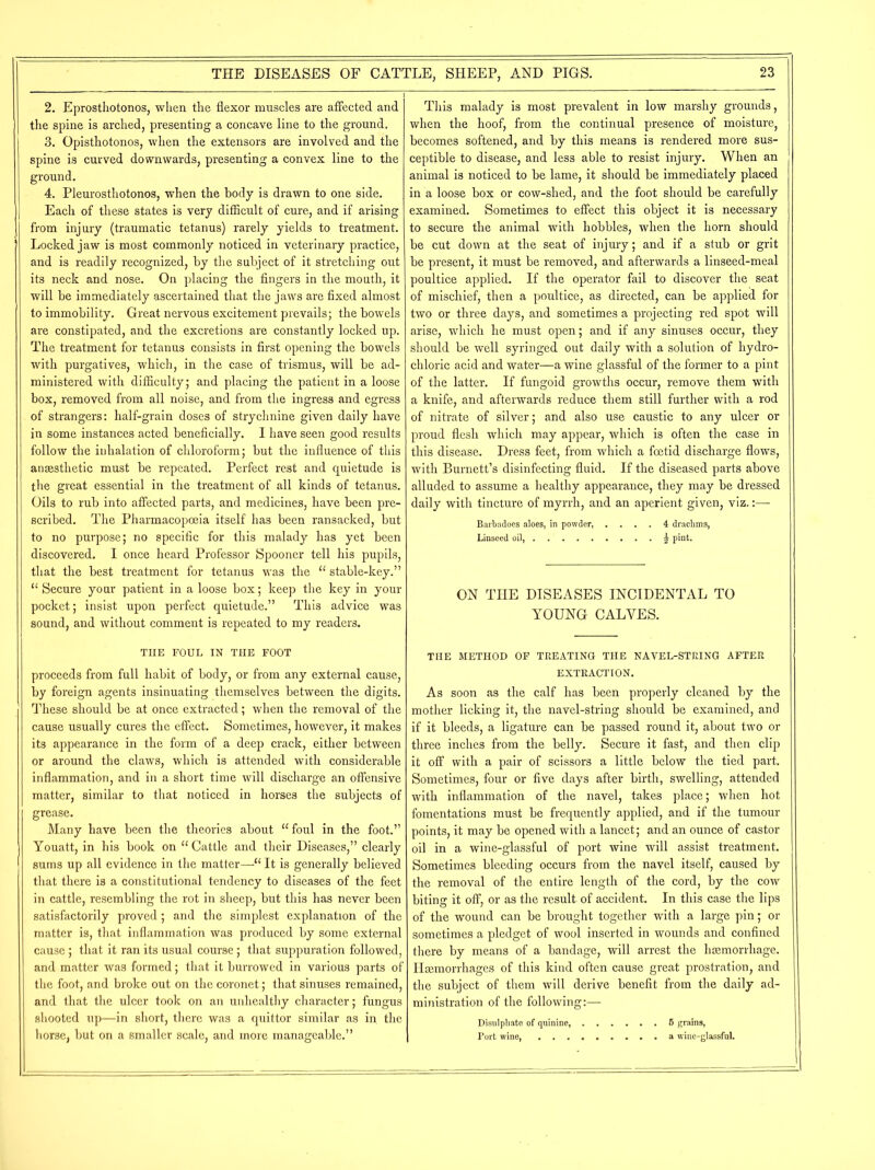 2. Eprosthotonos, when the flexor muscles are affected and the spine is arched, presenting a concave line to the ground. 3. Opisthotonos, when the extensors are involved and the spine is curved downwards, presenting a convex line to the ground. 4. Pleurosthotonos, when the body is drawn to one side. Each of these states is very difficult of cure, and if arising from injury (traumatic tetanus) rarely yields to treatment. Locked jaw is most commonly noticed in veterinary practice, and is readily recognized, by the subject of it stretching out its neck and nose. On placing the fingers in the mouth, it will be immediately ascertained that the jaws are fixed almost to immobility. Great nervous excitement prevails; the bowels are constipated, and the excretions are constantly locked up. The treatment for tetanus consists in first opening the bowels with purgatives, which, in the case of trismus, will be ad- ministered with difficulty; and placing the patient in a loose box, removed from all noise, and from the ingress and egress of strangers: half-grain doses of strychnine given daily have in some instances acted beneficially. I have seen good results follow the inhalation of chloroform; but the influence of this anaesthetic must be repeated. Perfect rest and quietude is the great essential in the treatment of all kinds of tetanus. Oils to rub into affected parts, and medicines, have been pre- scribed. The Pharmacopoeia itself has been ransacked, but to no purpose; no specific for this malady has yet been discovered. I once heard Professor Spooner tell his pupils, that the best treatment for tetanus was the “ stable-key.” “ Secure your patient in a loose box; keep the key in your pocket; insist upon perfect quietude.” This advice was sound, and without comment is repeated to my readers. THE FOUL IN THE FOOT proceeds from full habit of body, or from any external cause, by foreign agents insinuating themselves between the digits. These should be at once extracted; when the removal of the cause usually cures the effect. Sometimes, however, it makes its appearance in the form of a deep crack, either between or around the claws, which is attended with considerable inflammation, and in a short time will discharge an offensive matter, similar to that noticed in horses the subjects of grease. Many have been the theories about “foul in the foot.” Youatt, in his book on “Cattle and their Diseases,” clearly sums up all evidence in the matter—“ It is generally believed that there is a constitutional tendency to diseases of the feet in cattle, resembling the rot in sheep, but this has never been satisfactorily proved; and the simplest explanation of the matter is, that inflammation was produced by some external cause ; that it ran its usual course ; that suppuration followed, and matter was formed; that it burrowed in various parts of the foot, and broke out on the coronet; that sinuses remained, and that the ulcer took on an unhealthy character; fungus shooted up—in short, there was a quittor similar as in. the horse, but on a smaller scale, and more manageable.” This malady is most prevalent in low marshy grounds, when the hoof, from the continual presence of moisture, becomes softened, and by this means is rendered more sus- ceptible to disease, and less able to resist injury. When an animal is noticed to be lame, it should be immediately placed in a loose box or cow-shed, and the foot should be carefully examined. Sometimes to effect this object it is necessary to secure the animal with hobbles, when the horn should be cut down at the seat of injury; and if a stub or grit be present, it must be removed, and afterwards a linseed-meal poultice applied. If the operator fail to discover the seat of mischief, then a poultice, as directed, can be applied for two or three days, and sometimes a projecting red spot will arise, which he must open; and if any sinuses occur, they should be well syringed out daily with a solution of hydro- chloric acid and water—a wine glassful of the former to a pint of the latter. If fungoid growths occur, remove them with a knife, and afterwards reduce them still further with a rod of nitrate of silver; and also use caustic to any ulcer or proud flesh which may appear, which is often the case in this disease. Dress feet, from which a foetid discharge flows, with Burnett’s disinfecting fluid. If the diseased parts above alluded to assume a healthy appearance, they may be dressed daily with tincture of myrrh, and an aperient given, viz.:— Barbadoes aloes, in powder, .... 4 drachms, Linseed oil, . £ pint. ON THE DISEASES INCIDENTAL TO YOUNG CALVES. THE METHOD OF TREATING THE NAVEL-STRING AFTER EXTRACTION. As soon as the calf has been properly cleaned by the mother licking it, the navel-string should be examined, and if it bleeds, a ligature can be passed round it, about two or three inches from the belly. Secure it fast, and then clip it off with a pair of scissors a little below the tied part. Sometimes, four or five days after birth, swelling, attended with inflammation of the navel, takes place; when hot fomentations must be frequently applied, and if the tumour points, it may be opened with a lancet; and an ounce of castor oil in a wine-glassful of port wine will assist treatment. Sometimes bleeding occurs from the navel itself, caused by the removal of the entire length of the cord, by the cow biting it off, or as the result of accident. In this case the lips of the wound can be brought together with a large pin; or sometimes a pledget of wool inserted in wounds and confined there by means of a bandage, will arrest the haemorrhage. Haemorrhages of this kind often cause great prostration, and the subject of them will derive benefit from the daily ad- ministration of the following:— Disulphate of quinine, 5 grains, Port wine, a wine-glassful.