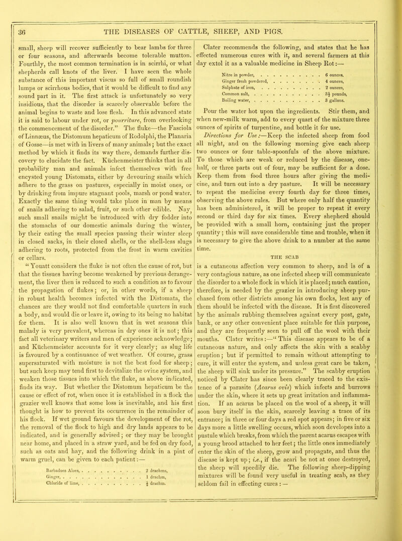 small, sheep will recover sufficiently to bear lambs for three or four seasons, and afterwards become tolerable mutton. Fourthly, the most common termination is in scirrhi, or what shepherds call knots of the liver. I have seen the whole substance of this important viscus so full of small roundish lumps or scirrhous bodies, that it would be difficult to find any sound part in it. The first attack is unfortunately so very insidious, that the disorder is scarcely observable before the animal begins to waste and lose flesh. In this advanced state it is said to labour under rot, or pourriture, from overlooking the commencement of the disorder.” The fluke—the Fasciola of Linnaeus, the Distomum hepaticum of Rodolphi, the Planaria of Gosse—is met with in livers of many animals; but the exact method by which it finds its way there, demands further dis- covery to elucidate the fact. Kiichenmeister thinks that in all probability man and animals infect themselves with free encysted young Distomata, either by devouring snails which adhere to the grass on pastures, especially in moist ones, or by drinking from impure stagnant pools, marsh or pond water. Exactly the same thing would take place in man by means of snails adhering to salad, fruit, or such other edible. Nay such small snails might be introduced with dry fodder into the stomachs of our domestic animals during the winter, by their eating the small species passing their winter sleep in closed sacks, in their closed shells, or the shell-less slugs adhering to roots, protected from the frost in warm cavities or cellars. “ Youatt considers the fluke is not often the cause of rot, but that the tissues having become weakened by previous derange- ment, the liver then is reduced to such a condition as to favour the propagation of flukes; or, in other words, if a sheep in robust health becomes infected with the Distomata, the chances are they would not find comfortable quarters in such a body, and would die or leave it, owing to its being no habitat for them. It is also well known that in wet seasons this malady is very prevalent, whereas in dry ones it is not; this fact all veterinary writers and men of experience acknowledge; and Kiichenmeister accounts for it very clearly; as slug life is favoured by a continuance of wet weather. Of course, grass supersaturated with moisture is not the best food for sheep; but such keep may tend first to devitalize the ovine system, and weaken those tissues into which the fluke, as above indicated, finds its way. But whether the Distomum hepaticum be the cause or effect of rot, when once it is established in a flock the grazier well knows that some loss is inevitable, and his first thought is how to prevent its occurrence in the remainder of his flock. If wet ground favours the development of the rot, the removal of the flock to high and dry lands appears to be indicated, and is generally advised; or they may be brought near home, and placed in a straw yard, and be fed on dry food, such as oats and hay, and the following drink in a pint of warm gruel, can be given to each patient:— Barbadoes Aloes, 2 drachms, Ginger, 1 drachm, Chloride of lime, £ drachm. I Clater recommends the following, and states that he has effected numerous cures with it, and several farmers at this day extol it as a valuable medicine in Sheep Rot:— Nitre in powder, 6 ounces. Ginger fresh powdered, 4 ounces, Sulphate of iron 2 ounces, Common salt, 3£ pounds, Boiling water, 3 gallons. Pour the water hot upon the ingredients. Stir them, and when new-milk warm, add to every quart of the mixture three ounces of spirits of turpentine, and bottle it for use. Directions for Use:—Keep the infected sheep from food all night, and on the following morning give each sheep two ounces or four table-spoonfuls of the above mixture. To those which are weak or reduced by the disease, one- half, or three parts out of four, may be sufficient for a dose. Keep them from food three hours after giving the medi- cine, and turn out into a dry pasture. It will be necessary to repeat the medicine every fourth day for three times, observing the above rules. But where only half the quantity has been administered, it will be proper to repeat it every second or third day for six times. Eveiy shepherd should be provided with a small horn, containing just the proper quantity ; this will save considerable time and trouble, when it is necessary to give the above drink to a number at the same time. THE SCAB is a cutaneous affection very common to sheep, and is of a very contagious nature, as one infected sheep will communicate the disorder to a whole flock in which it is placed; much caution, therefore, is needed by the grazier in introducing sheep pur- chased from other districts among his own flocks, lest any of them should be infected with the disease. It is first discovered by the animals rubbing themselves against every post, gate, bank, or any other convenient place suitable for this purpose, and they are frequently seen to pull off the wool with their mouths. Clater writes:—r This disease appears to be of a cutaneous nature, and only affects the skin with a scabby eruption; but if permitted to remain without attempting to cure, it will enter the system, and unless great care be taken, the sheep will sink under its pressure.” The scabby eruption noticed by Clater has since been clearly traced to the exis- tence of a parasite (Acarus ovis) which infects and burrows under the skin, where it sets up great irritation and inflamma- tion. If an acarus be placed on the wool of a sheep, it will soon bury itself in the skin, scarcely leaving a trace of its entrance; in three or four days a red spot appears; in five or six days more a little swelling occurs, which soon developes into a pustule which breaks, from which the parent acarus escapes with a young brood attached to her feet; the little ones immediately enter the skin of the sheep, grow and propagate, and thus the disease is kept up; tie., if the acari be not at once destroyed, the sheep will speedily die. The following sheep-dipping mixtures will be found very useful in treating scab, as they seldom fail in effecting cures : —
