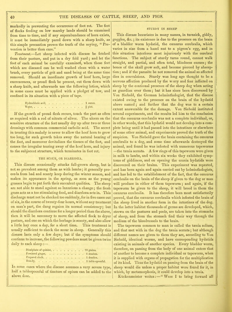 markedly in preventing the occurrence of foot rot. The feet of flocks feeding on low marshy lands should be examined from time to time, and if any superabundance of horn exists, it must be immediately pared down with a sharp knife, as this simple precaution proves the truth of the saying, “ Pre- vention is better than cure.” Treatment.—Let sheep infected with disease be fetched from their pasture, and put in a dry fold yard; and let the foot of each animal be carefully examined, when those feet which are diseased can be well washed clean with a water brush, every particle of grit and sand being at the same time removed. Should an inordinate growth of hoof horn, large excrescences, or proud flesh be present, cut them down with a sharp knife, and afterwards use the following lotion, which in some cases must be applied with a pledget of tow, and confined in its situation with a piece of tape. Hydrochloric acid, 1 ounce. Water, £ pint. If the growth of proud flesh recurs, touch the part as often as required with a rod of nitrate of silver. The ulcers on the sensitive structure of the feet usually dry up after two or three dressings with common commercial carbolic acid. The secret in treating this malady is never to allow the hoof horn to grow too long, for such growth takes away the natural bearing of the foot, and moreover devitalizes the tissues of the foot, and causes the irregular tearing away of the hoof horn, and injury to the subjacent structure, which terminates in foot rot. THE SCOUR, OR DIARRIICEA. This disease occasionally attacks full-grown sheep, but is not so prevalent among them as with lambs; it generally pro- ceeds from bad and scanty keep during the winter season, and makes its appearance in the spring, as soon as the young grasses begin to put forth their succulent qualities. The sheep are not able to stand against so luxurious a change; the fresh grass acts as a too stimulating food, and diarrhoea sets in. This discharge must not be checked too suddenly, for in five cases out of six, in the course of twenty-four hours, without any treatment on man’s part, the dung regains its normal consistency; but should the diarrhoea continue for a longer period than the above, then it will be necessary to move the affected flock to dryer pasture, and one on which the herbage is scanty, and also allow a little hay once a day, for a short time. This treatment is usually sufficient to check the scour in sheep. Generally this disease lasts only a few days; but if the symptoms should continue to increase, the following powders must be given twice daily to each sheep :— Disulphate of quinine 10 grains. Powdered ginger, 1 drachm. Prepared chalk 1 drachm. Brar.dy, . . 1 table-spoonful. In some cases where the disease assumes a very severe type, half a tablespoonful of tincture of opium can be added to the above dose. STURDY IN SHEEP This disease luxuriates in many names, in turnsick, giddy, goggles, &c.; its existence is due to the presence on the brain of a bladder worm hydatid, the ccenurus cerebralis, which varies in size from a hazel nut to a pigeon’s egg, and in this situation interferes most injuriously with the cerebral functions. The subject of sturdy turns round, cannot walk straight, and partial, and often total, blindness ensues; the bones of the skull grow soft, and become pierced by absorp- tion ; and if the parasite be not removed the animal so affected dies in convulsions. Sturdy was long ago thought to be a nervous affection produced by the worry and fear inflicted on sheep by the continual presence of the sheep dog when acting as guardian over them; but it has since been discovered by Von Siebold, the German helminthologist, that the disease existed owing to the presence on the brain of the hydatid above named ; and further that the dog was to a certain extent answerable for the damage. Von Siebold instituted several experiments, and the results led him to the conclusion that the coenurus cerebralis was not a complete individual, or, in other words, that this hydatid would not develop into a com- plete being until it had passed into the intestines or elsewhere of some other animal, and experiments proved the truth of the suspicion. Von Siebold gave the brain containing the coenurus cerebralis to a dog, and some time afterwards destroyed the animal, and found he was infested with numerous tapeworms —the taenia serrata. A few rings of this tapeworm were given in milk to lambs, and within six weeks they exhibited symp- toms of giddiness, and on opening the crania hydatids were discovered on their brains. This experiment was repeated, and has been again and again carried out by helminthologists, and has led to the establishment of the fact, that the coenurus cerebralis on the brain of the sheep if given to the dog or man will produce in either of them tapeworm; and again, if the tapeworm be given to the sheep, it will breed in them the coenurus cerebralis. It has therefore been most satisfactorily proved, that the coenurus cerebralis which infested the brain of the sheep lived in another form in the intestines of the dog. In the latter habitat thousands of germs are developed, which, strewn on the pastures and pools, are taken into the stomachs of sheep, and from the stomach find their way through the medium of the bloodvessels to the brain. The tapeworm common to man is called the taenia solium, and that met with in the dog the taenia serrata; but although different names are given to them they are, according to Von Siebold, identical worms, and have corresponding hydatids existing in animals of another species. Every bladder worm, therefore, on passing from the body of one animal enters that of another to become a complete individual or tapeworm, when it is supplied with organs of propagation for the multiplication of its kind. Thus the hydatid on passing from the brain of the sheep would die unless a proper habitat were found for it, in which, by metamorphosis, it could develop into a taenia. Kiickenmeister writes: — “Were I to bring forward all