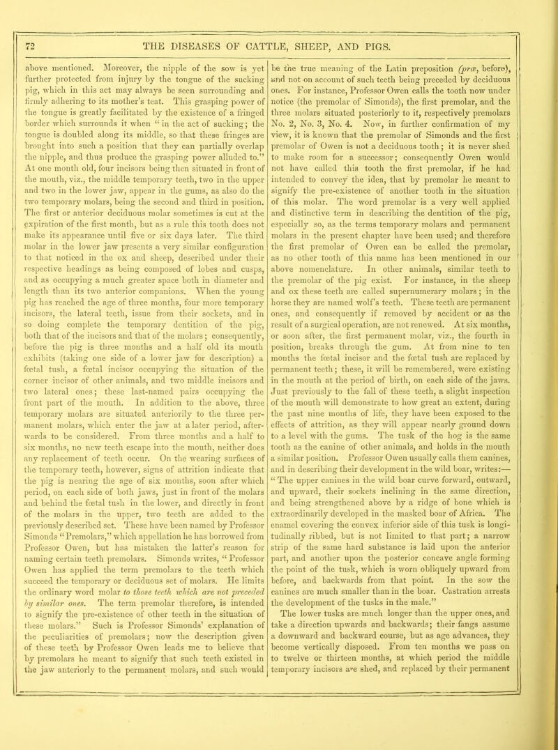 above mentioned. Moreover, tlie nipple of the sow is yet further protected from injury by the tongue of the sucking pig, which in this act may always be seen surrounding and firmly adhering to its mother’s teat. This grasping power of the tongue is greatly facilitated by the existence of a fringed border which surrounds it when “ in the act of sucking; the tongue is doubled along its middle, so that these fringes are brought into such a position that they can partially overlap the nipple, and thus produce the grasping power alluded to.” At one month old, four incisors being then situated in front of the mouth, viz., the middle temporary teeth, two in the upper and two in the lower jaw, appear in the gums, as also do the two temporary molars, being the second and third in position. The first or anterior deciduous molar sometimes is cut at the expiration of the first month, but as a rule this tooth does not make its appearance until five or six days later. The third molar in the lower jaw presents a very similar configuration to that noticed in the ox and sheep, described under their respective headings as being composed of lobes and cusps, and as occupying a much greater space both in diameter and length than its two anterior companions. When the young pig has reached the age of three months, four more temporary incisors, the lateral teeth, issue from their sockets, and in so doing complete the temporary dentition of the pig, both that of the incisors and that of the molars; consequently, before the pig is three months and a half old its mouth exhibits (taking one side of a lower jaw for description) a foetal tush, a foetal incisor occupying the situation of the corner incisor of other animals, and two middle incisors and two lateral ones; these last-named pairs occupying the front part of the mouth. In addition to the above, three temporary molars are situated anteriorily to the three per- manent molars, which enter the jaw at a later period, after- wards to be considered. From three months and a half to six months, no new teeth escape into the mouth, neither does any replacement of teeth occur. On the wearing surfaces of the temporary teeth, however, signs of attrition indicate that the pig is nearing the age of six months, soon after which period, on each side of both jaws, just in front of the molars and behind the foetal tush in the lower, and directly in front of the molars in the upper, two teeth are added to the previously described set. These have been named by Professor Simonds “Premolars,” which appellation he has borrowed from Professor Owen, but has mistaken the latter’s reason for naming certain teeth premolars. Simonds writes, “ Professor Owen has applied the term premolars to the teeth which succeed the temporary or deciduous set of molars. He limits the ordinary word molar to those teeth which are not preceded by similar ones. The term premolar therefore, is intended to signify the pre-existence of other teeth in the situation of these molars.” Such is Professor Simonds’ explanation of the peculiarities of premolars; now the description given of these teeth by Professor Owen leads me to believe that by premolars he meant to signify that such teeth existed in the jaw anteriorly to the permanent molars, and such would be the true meaning of the Latin preposition (prce, before), and not on account of such teeth being preceded by deciduous ones. For instance, Professor Owen calls the tooth now under notice (the premolar of Simonds), the first premolar, and the three molars situated posteriorly to it, respectively premolars No. 2, No. 3, No. 4. Now, in further confirmation of my view, it is known that the premolar of Simonds and tlie first premolar of Owen is not a deciduous tooth; it is never shed to make room for a successor; consequently Owen would not have called this tooth the first premolar, if he had intended to convey the idea, that by premolar he meant to signify the pre-existence of another tooth in the situation of this molar. The word premolar is a very well applied and distinctive term in describing the dentition of the pig, especially so, as the terms temporary molars and permanent molars in the present chapter have been used; and therefore the first premolar of Owen can be called the premolar, as no other tooth of this name has been mentioned in our above nomenclature. In other animals, similar teeth to the premolar of the pig exist. For instance, in the sheep and ox these teeth are called supernumerary molars; in the horse they are named wolf’s teeth. These teeth are permanent ones, and consequently if removed by accident or as the result of a surgical operation, are not renewed. At six months, or soon after, the first permanent molar, viz., the fourth in position, breaks through the gum. At from nine to ten months the foetal incisor and the foetal tush are replaced by permanent teeth; these, it will be remembered, were existing in the mouth at the period of birth, on each side of the jaws. Just previously to the fall of these teeth, a slight inspection of the mouth will demonstrate to how great an extent, during the past nine months of life, they have been exposed to the effects of attrition, as they will appear nearly ground down to a level with the gums. The tusk of the hog is the same tooth as the canine of other animals, and holds in the mouth a similar position. Professor Owen usually calls them canines, and in describing their development in the wild boar, writes:— “ The upper canines in the wild boar curve forward, outward, and upward, their sockets inclining in the same direction, and being strengthened above by a ridge of bone which is extraordinarily developed in the masked boar of Africa. The enamel covering the convex inferior side of this tusk is longi- tudinally ribbed, but is not limited to that part; a narrow strip of the same hard substance is laid upon the anterior part, and another upon the posterior concave angle forming the point of the tusk, which is worn obliquely upward from before, and backwards from that point. In the sow the canines are much smaller than in the boar. Castration arrests the development of the tusks in the male.” The lower tusks are mnch longer than the upper ones, and take a direction upwards and backwards; their fangs assume a downward and backward course, but as age advances, they become vertically disposed. From ten months we pass on to twelve or thirteen months, at which period the middle temporary incisors a^e shed, and replaced by their permanent