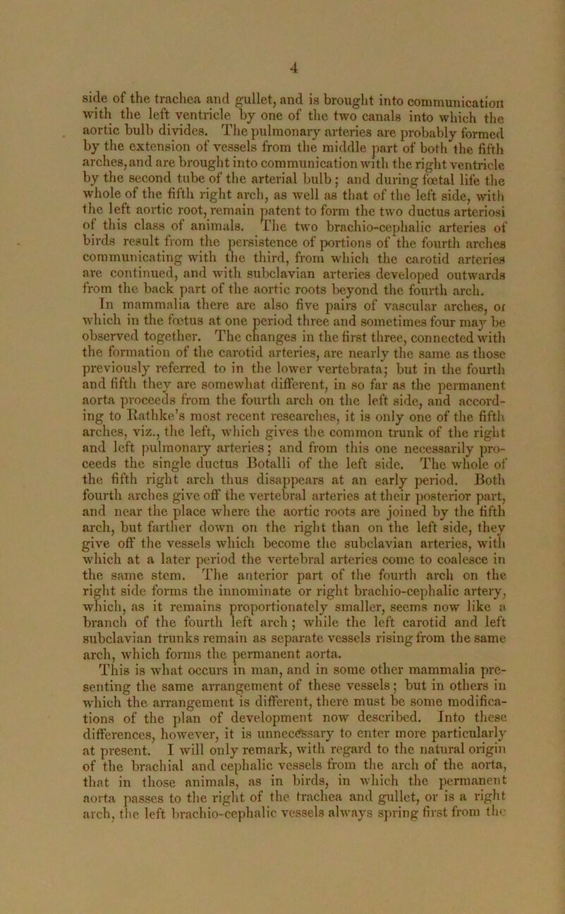 side of the trachea and gullet, and is brought into communication with the left ventricle by one of the two canals into which the aortic bulb divides. The pulmonary arteries are probably formed by the extension of vessels from the middle part of both the fifth arches, and are brought into communication with the right ventricle by the second tube of the arterial bulb ; and during foetal life the whole of the fifth right arch, as well as that of the left side, with the left aortic root, remain patent to form the two ductus arteriosi of this class of animals. The two brachiocephalic arteries of birds result from the persistence of portions of the fourth arches communicating with the third, from which the carotid arteries are continued, and with subclavian arteries developed outwards from the back part of the aortic roots beyond the fourth arch. In mammalia there are also five pairs of vascular arches, or which in the foetus at one period three and sometimes four may be observed together. The changes in the first three, connected with the formation of the carotid arteries, are nearly the same as those previously referred to in the lower vertebrata; but in the fourth and fifth they are somewhat different, in so far as the permanent aorta proceeds from the fourth arch on the left side, and accord- ing to Rathke’s most recent researches, it is only one of the fifth arches, viz., the left, which gives the common trunk of the right and left pulmonary arteries; and from this one necessarily pro- ceeds the single ductus Botalli of the left side. The whole of the fifth right arch thus disappears at an early period. Both fourth arches give off the vertebral arteries at their posterior part, and near the place where the aortic roots are joined by the fifth arch, but farther down on the right than on the left side, they give off the vessels which become the subclavian arteries, with which at a later period the vertebral arteries come to coalesce in the same stem. The anterior part of the fourth arch on the right side forms the innominate or right brachio-cephalic artery, which, as it remains proportionately smaller, seems now like a branch of the fourth left arch ; while the left carotid and left subclavian trunks remain as separate vessels rising from the same arch, which forms the permanent aorta. This is what occurs in man, and in some other mammalia pre- senting the same arrangement of these vessels; but in others in which the arrangement is different, there must be some modifica- tions of the plan of development now described. Into these differences, however, it is unnecessary to enter more particularly at present. I will only remark, with regard to the natural origin of the brachial and cephalic vessels from the arch of the aorta, that in those animals, as in birds, in which the permanent aorta passes to the right of the trachea and gullet, or is a right arch, the left brachio-cephalic vessels always spring first from the