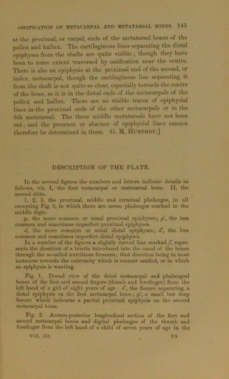at the proximal, or carpal, ends of the metatarsal hones of the pollex and hallux. The cartilaginous lines separating the distal epiphyses from the shafts are cpiite visible; though they have been to some extent traversed by ossification near the centre. There is also an epiphysis at the proximal end of the second, or index, metacarpal, though the cartilaginous line separating it from the shaft is not quite so clear, especially towards the centre of the bone, as it is in the distal ends of the metacarpals of the pollex and hallux. There are no visible traces of epiphysial lines in the proximal end.s of the other metacarpals or in the .5th metatarsal. The three middle metatarsals have not l>een cut; ami the presence or al)s**nce ot epiphysial lines cannot therefore be determined in them. G. iL Humphry.] DESCRIFFION OF THE PLATE. In the several figures the numlx^rs ami letters indicat*? details as follows, viz. I, the first iuctacaii»al or meUitarsal bone™ II, the second ditto. 1, 2, 3, tl>e proximal, middh* and terminal phalanges, in all ex*?epting Fig. 6, in which there are seven phalanges marked in the middle digit. p, the more common or usual pro.ximal epiphyses; p\ the less common and sometimes im|)erfect proximal epiphyses. d, the m*>ro comuion or usual distal ejiiphyses; d\ the leas common and sometimes imperfect distid epiphyses. In a numl)er of the figures a slightly curved line marke<l f, repre- sents tlie direction of a bristle intrmluce*! into the csuml of the Ixmes througli the so-callwl nutritious foramen; that dii-ection being in most instances towards the extremity which is soonest ossified, or in which an epiphysis is wanting. Fig. 1. Dorsal view- of the dried metacarpal and j)lmlangeal lones of the first and second fingers (thumb and forefinger) from the left hand of a girl of eight years of age : d\ the fissure separating a *listal ejiiphysis on the first mefiicarpal bone; p\ a small but ileep fissure which indicates a partml proximal epiphysis on the second inetacuqml bone. Fig. 2. Antero posterior longitudinal section of the first and second metacar|)al bones and digital phalanges of the thumb and forefinger from the left hand of a child of seven years of age in the VOL III. 10