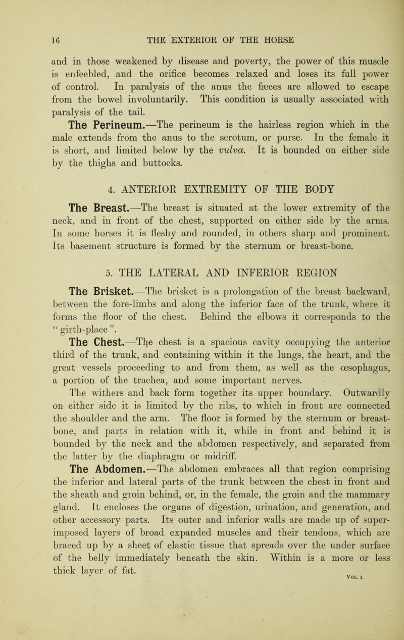 and in those weakened by disease and poverty, the power of this muscle is enfeebled, and the orifice becomes relaxed and loses its full power of control. In paralysis of the anus the fseces are allowed to escape from the bowel involuntarily. This condition is usually associated with paralysis of the tail. The Perineum.—The perineum is the hairless region which in the male extends from the anus to the scrotum, or purse. In the female it is short, and limited below by the vulva. It is bounded on either side by the thighs and buttocks. 4. ANTERIOR EXTREMITY OF THE BODY The Breast .—The breast is situated at the lower extremity of the neck, and in front of the chest, supported on either side by the arms. In some horses it is fleshy and rounded, in others sharp and prominent. Its basement structure is formed by the sternum or breast-bone. 5. THE LATERAL AND INFERIOR REGION The Brisket.—The brisket is a prolongation of the breast backward, between the fore-limbs and along the inferior face of the trunk, where it forms the floor of the chest. Behind the elbows it corresponds to the girth-place ”. The Chest.—The chest is a spacious cavity occupying the anterior third of the trunk, and containing within it the lungs, the heart, and the great vessels proceeding to and from them, as well as the oesophagus, a portion of the trachea, and some important nerves. The withers and back form together its upper boundary. Outwardly on either side it is limited by the ribs, to which in front are connected the shoulder and the arm. The floor is formed by the sternum or breast- bone, and parts in relation with it, while in front and behind it is bounded by the neck and the abdomen respectively, and separated from the latter by the diaphragm or midriff. The Abdomen.—The abdomen embraces all that region comprising the inferior and lateral parts of the trunk between the chest in front and the sheath and groin behind, or, in the female, the groin and the mammary gland. It encloses the organs of digestion, urination, and generation, and other accessory parts. Its outer and inferior walls are made up of super- imposed layers of broad expanded muscles and their tendons, which are braced up by a sheet of elastic tissue that spreads over the under surface of the belly immediately beneath the skin. Within is a more or less thick layer of fat.