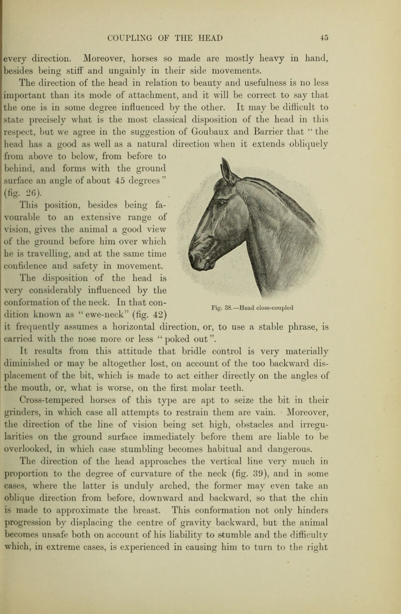 every direction. Moreover, horses so made are mostly heavy in hand, besides being stiff and ungainly in their side movements. The direction of the head in relation to beauty and usefulness is no less important than its mode of attachment, and it will be correct to say that the one is in some degree influenced by the other. It may be difficult to state precisely what is the most classical disposition of the head in this respect, but we agree in the suggestion of Goubaux and Barrier that “ the head has a good as well as a natural direction when it extends obliquely from above to below, from before to behind, and forms with the ground surface an angle of about 45 degrees ” (fig. 26). This position, besides being fa- vourable to an extensive range of vision, gives the animal a good view of the ground before him over which he is travelling, and at the same time confidence and safety in movement. The disposition of the head is very considerably influenced by the conformation of the neck. In that con- dition known as “ ewe-neck” (fig. 42) it frequently assumes a horizontal direction, or, to use a stable phrase, is carried with the nose more or less “poked out”. It results from this attitude that bridle control is very materially diminished or may be altogether lost, on account of the too backward dis- placement of the bit, which is made to act either directly on the angles of the mouth, or, what is worse, on the first molar teeth. Cross-tempered horses of this type are apt to seize the bit in their grinders, in which case all attempts to restrain them are vain. Moreover, the direction of the line of vision being set high, obstacles and irregu- larities on the ground surface immediately before them are liable to be overlooked, in which case stumbling becomes habitual and dangerous. The direction of the head approaches the vertical line very much in proportion to the degree of curvature of the neck (fig. 39), and in some cases, where the latter is unduly arched, the former may even take an oblique direction from before, downward and backward, so that the chin is made to approximate the breast. This conformation not only hinders progression by displacing the centre of gravity backward, but the animal becomes unsafe both on account of his liability to stumble and the difficulty which, in extreme cases, is experienced in causing him to turn to the right