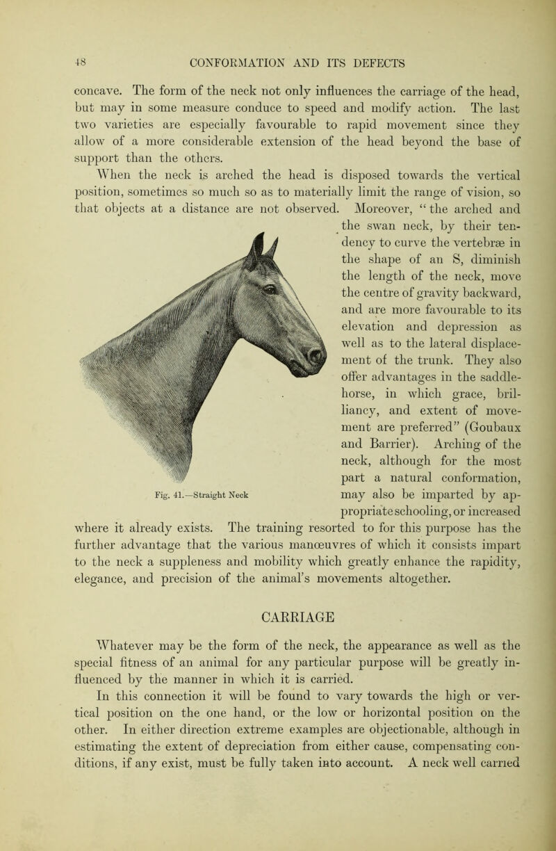 concave. The form of the neck not only influences the carriage of the head, but may in some measure conduce to speed and modify action. The last two varieties are especially favourable to rapid movement since they allow of a more considerable extension of the head beyond the base of support than the others. When the neck is arched the head is disposed towards the vertical position, sometimes so much so as to materially limit the range of vision, so that objects at a distance are not observed. Moreover, “ the arched and the swan neck, by their ten- dency to curve the vertebrae in the shape of an S, diminish the length of the neck, move the centre of gravity backward, and are more favourable to its elevation and depression as well as to the lateral displace- ment of the trunk. They also offer advantages in the saddle- horse, in which grace, bril- liancy, and extent of move- ment are preferred” (Goubaux and Barrier). Arching of the neck, although for the most part a natural conformation, Fig. 4i.—straight Neck may also be imparted by ap- propriate schooling, or increased where it already exists. The training resorted to for this purpose has the further advantage that the various manoeuvres of which it consists impart to the neck a suppleness and mobility which greatly enhance the rapidity, elegance, and precision of the animal’s movements altogether. CARRIAGE Whatever may be the form of the neck, the appearance as well as the special fitness of an animal for any particular purpose will be greatly in- fluenced by the manner in which it is carried. In this connection it will be found to vary towards the high or ver- tical position on the one hand, or the low or horizontal position on the other. In either direction extreme examples are objectionable, although in estimating the extent of depreciation from either cause, compensating con- ditions, if any exist, must be fully taken into account. A neck well carried