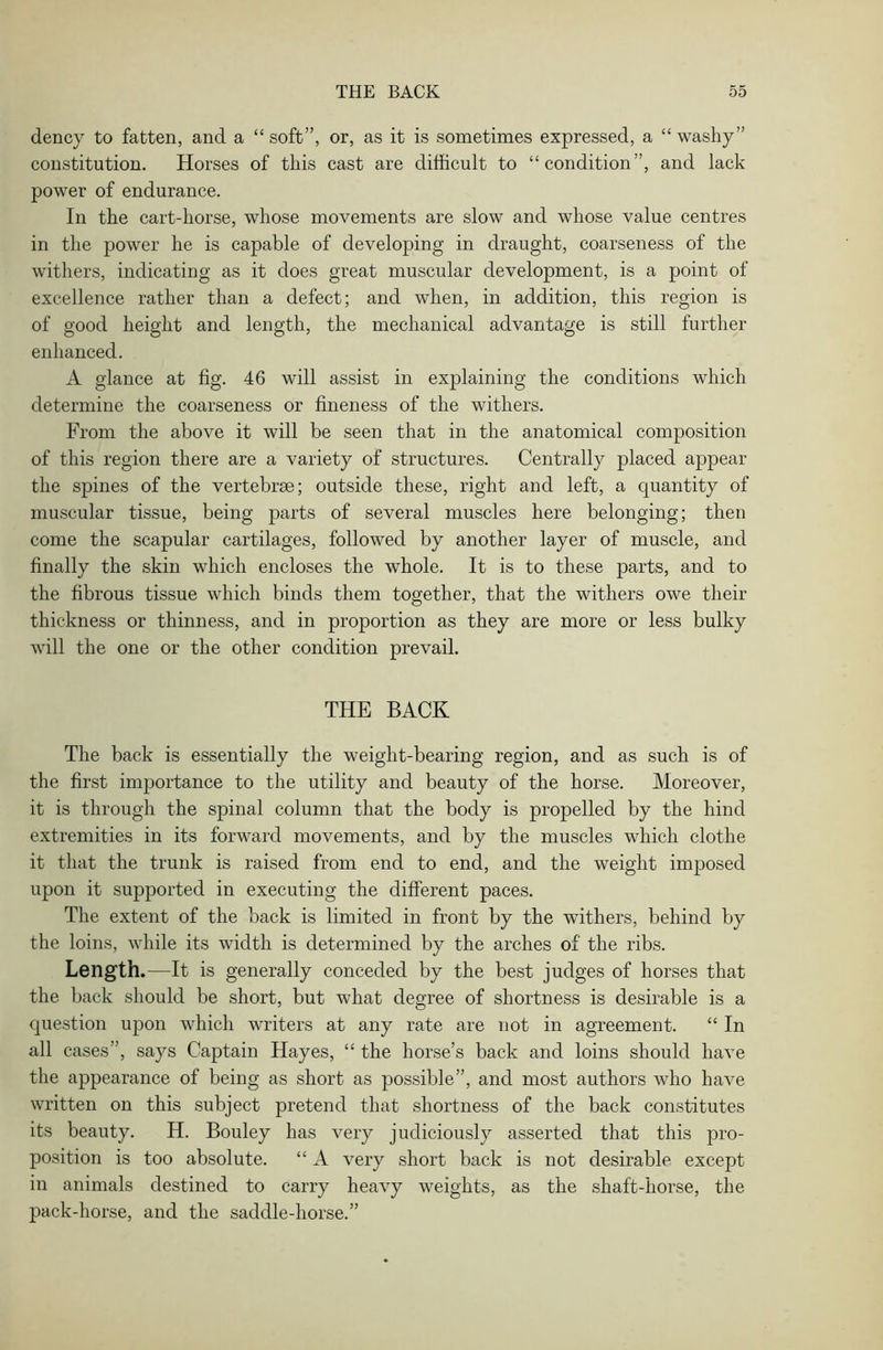 dency to fatten, and a “soft”, or, as it is sometimes expressed, a “washy” constitution. Horses of this cast are difficult to “condition”, and lack power of endurance. In the cart-horse, whose movements are slow and whose value centres in the power he is capable of developing in draught, coarseness of the withers, indicating as it does great muscular development, is a point of excellence rather than a defect; and when, in addition, this region is of good height and length, the mechanical advantage is still further enhanced. A glance at fig. 46 will assist in explaining the conditions which determine the coarseness or fineness of the withers. From the above it will be seen that in the anatomical composition of this region there are a variety of structures. Centrally placed appear the spines of the vertebrae; outside these, right and left, a quantity of muscular tissue, being parts of several muscles here belonging; then come the scapular cartilages, followed by another layer of muscle, and finally the skin which encloses the whole. It is to these parts, and to the fibrous tissue which binds them together, that the withers owe their thickness or thinness, and in proportion as they are more or less bulky will the one or the other condition prevail. THE BACK The back is essentially the weight-bearing region, and as such is of the first importance to the utility and beauty of the horse. Moreover, it is through the spinal column that the body is propelled by the hind extremities in its forward movements, and by the muscles which clothe it that the trunk is raised from end to end, and the weight imposed upon it supported in executing the different paces. The extent of the back is limited in front by the withers, behind by the loins, while its width is determined by the arches of the ribs. Length.—It is generally conceded by the best judges of horses that the back should be short, but what degree of shortness is desirable is a question upon which writers at any rate are not in agreement. “ In all cases”, says Captain Hayes, “ the horse’s back and loins should have the appearance of being as short as possible”, and most authors who have written on this subject pretend that shortness of the back constitutes its beauty. H. Bouley has very judiciously asserted that this pro- position is too absolute. “ A very short back is not desirable except in animals destined to carry heavy weights, as the shaft-horse, the pack-horse, and the saddle-horse.”