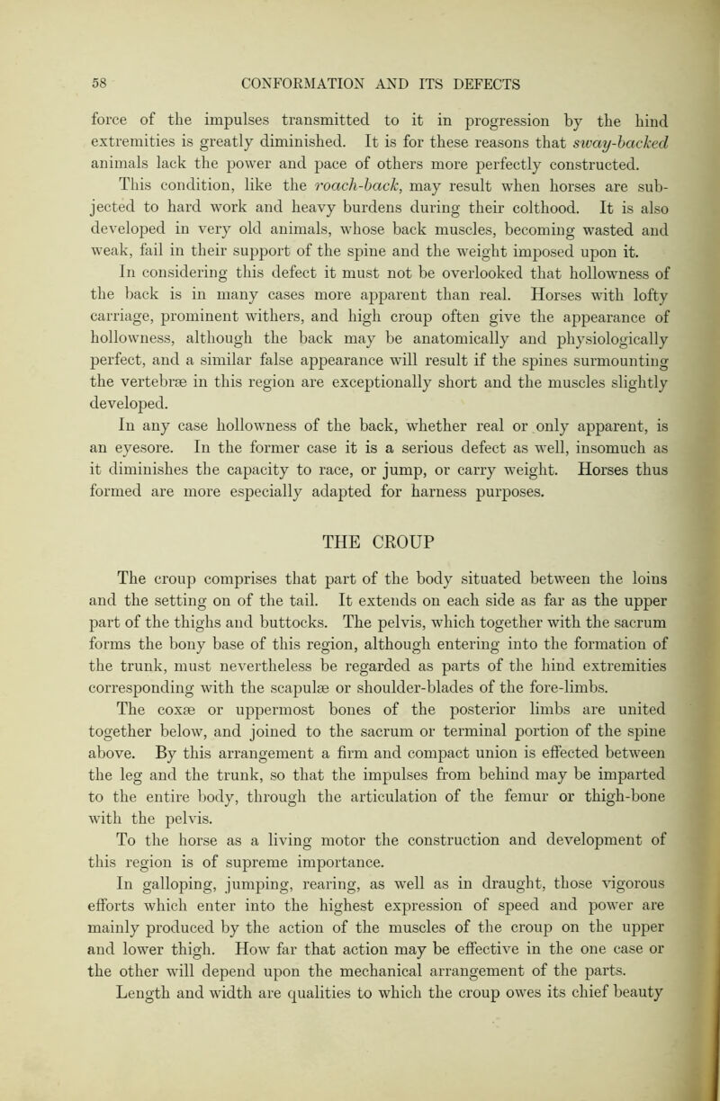 force of the impulses transmitted to it in progression by the hind extremities is greatly diminished. It is for these reasons that sway-backed animals lack the power and pace of others more perfectly constructed. This condition, like the roach-back, may result when horses are sub- jected to hard work and heavy burdens during their colthood. It is also developed in very old animals, whose back muscles, becoming wasted and weak, fail in their support of the spine and the weight imposed upon it. In considering this defect it must not be overlooked that hollowness of the back is in many cases more apparent than real. Horses with lofty carriage, prominent withers, and high croup often give the appearance of hollowness, although the back may be anatomically and physiologically perfect, and a similar false appearance will result if the spines surmounting the vertebrae in this region are exceptionally short and the muscles slightly developed. In any case hollowness of the back, whether real or only apparent, is an eyesore. In the former case it is a serious defect as well, insomuch as it diminishes the capacity to race, or jump, or carry weight. Horses thus formed are more especially adapted for harness purposes. THE CROUP The croup comprises that part of the body situated between the loins and the setting on of the tail. It extends on each side as far as the upper part of the thighs and buttocks. The pelvis, which together with the sacrum forms the bony base of this region, although entering into the formation of the trunk, must nevertheless be regarded as parts of the hind extremities corresponding with the scapulae or shoulder-blades of the fore-limbs. The coxae or uppermost bones of the posterior limbs are united together below, and joined to the sacrum or terminal portion of the spine above. By this arrangement a firm and compact union is effected between the leg and the trunk, so that the impulses from behind may be imparted to the entire body, through the articulation of the femur or thigh-bone with the pelvis. To the horse as a living motor the construction and development of this region is of supreme importance. In galloping, jumping, rearing, as well as in draught, those vigorous efforts which enter into the highest expression of speed and power are mainly produced by the action of the muscles of the croup on the upper and lower thigh. How far that action may be effective in the one case or the other will depend upon the mechanical arrangement of the parts. Length and width are qualities to which the croup owes its chief beauty
