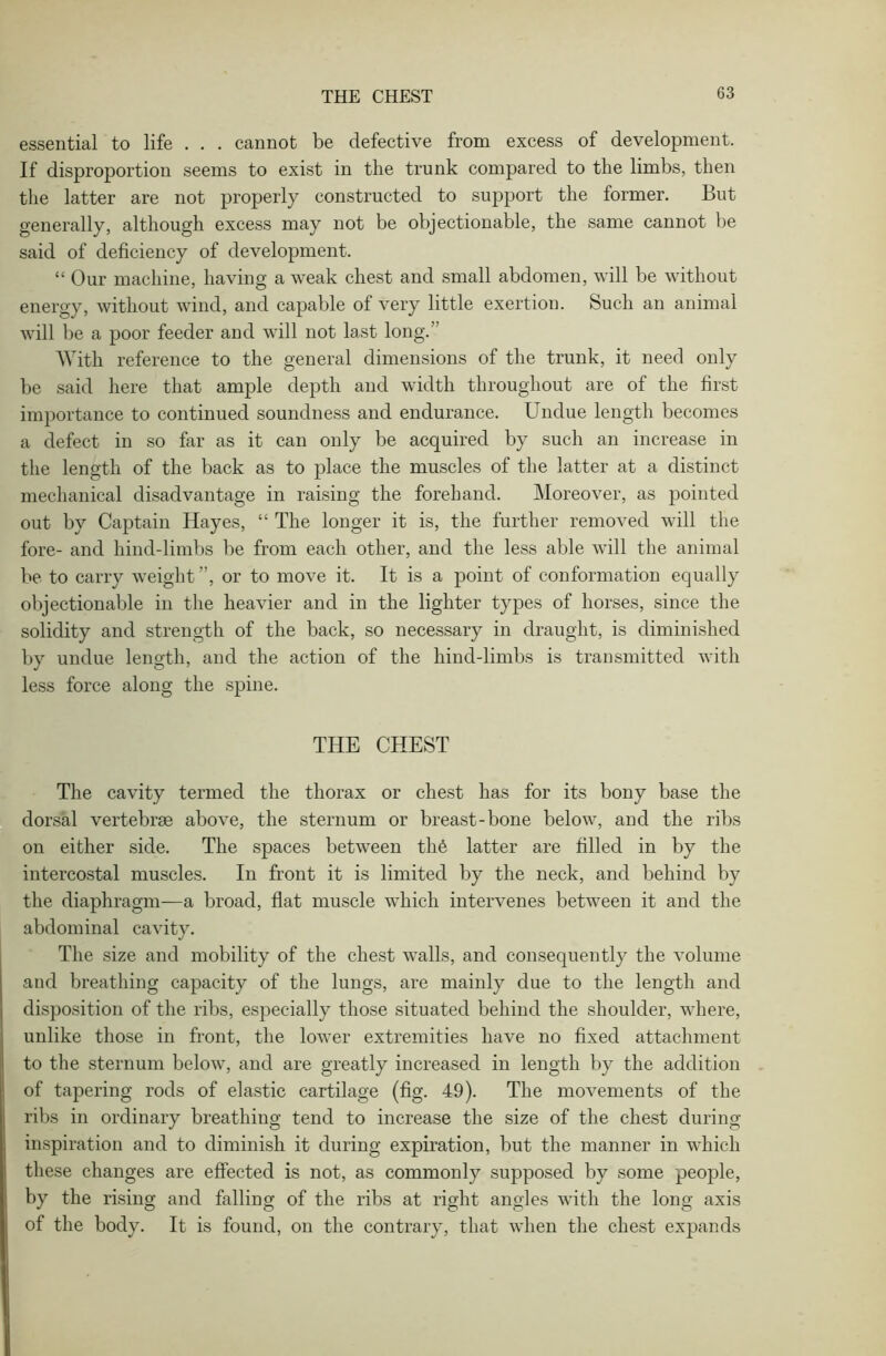 essential to life . . . cannot be defective from excess of development. If disproportion seems to exist in the trunk compared to the limbs, then the latter are not properly constructed to support the former. But generally, although excess may not be objectionable, the same cannot be said of deficiency of development. “ Our machine, having a weak chest and small abdomen, will be without energy, without wind, and capable of very little exertion. Such an animal will be a poor feeder and will not last long. With reference to the general dimensions of the trunk, it need only be said here that ample depth and width throughout are of the first importance to continued soundness and endurance. Undue length becomes a defect in so far as it can only be acquired by such an increase in the length of the back as to place the muscles of the latter at a distinct mechanical disadvantage in raising the forehand. Moreover, as pointed out by Captain Hayes, “ The longer it is, the further removed will the fore- and hind-limbs be from each other, and the less able will the animal be to carry weight ”, or to move it. It is a point of conformation equally objectionable in the heavier and in the lighter types of horses, since the solidity and strength of the back, so necessary in draught, is diminished by undue length, and the action of the liind-limbs is transmitted with less force along the spine. THE CHEST The cavity termed the thorax or chest has for its bony base the dorsal vertebrae above, the sternum or breast-bone below, and the ribs on either side. The spaces between the latter are filled in by the intercostal muscles. In front it is limited by the neck, and behind by the diaphragm—a broad, flat muscle which intervenes between it and the abdominal cavity. The size and mobility of the chest walls, and consequently the volume and breathing capacity of the lungs, are mainly due to the length and disposition of the ribs, especially those situated behind the shoulder, where, unlike those in front, the lower extremities have no fixed attachment to the sternum below, and are greatly increased in length by the addition of tapering rods of elastic cartilage (fig. 49). The movements of the ribs in ordinary breathing tend to increase the size of the chest during inspiration and to diminish it during expiration, but the manner in which these changes are effected is not, as commonly supposed by some people, by the rising and falling of the ribs at right angles with the long axis of the body. It is found, on the contrary, that when the chest expands