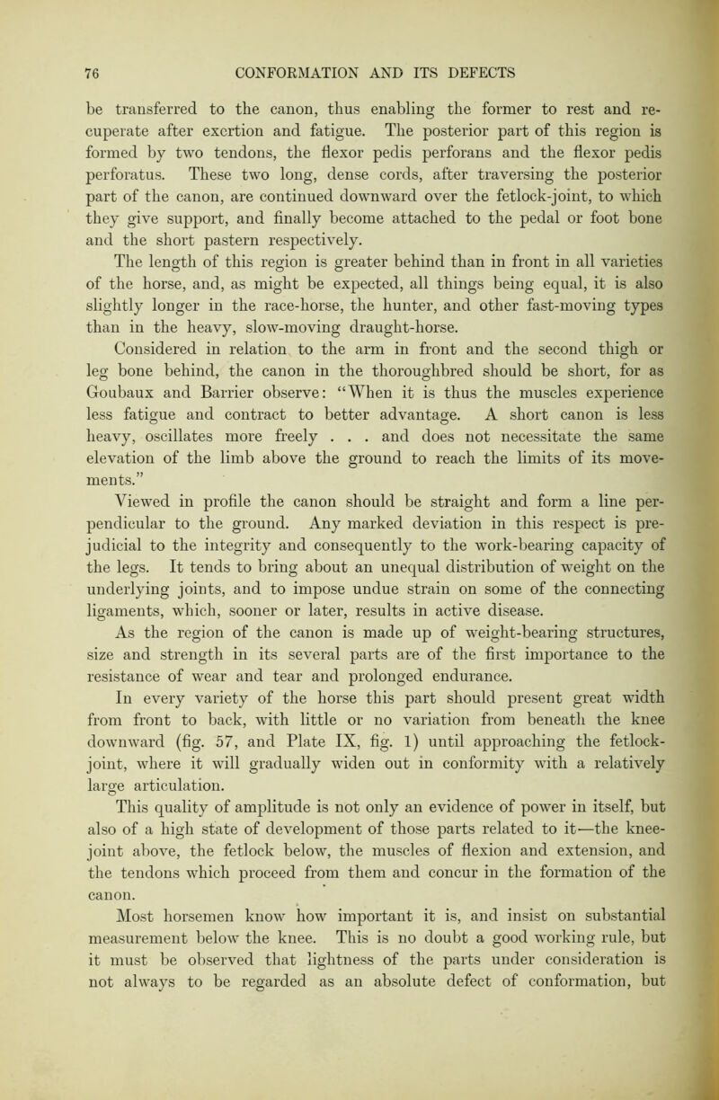 be transferred to the canon, thus enabling the former to rest and re- cuperate after exertion and fatigue. The posterior part of this region is formed by two tendons, the flexor pedis perforans and the flexor pedis perforatus. These two long, dense cords, after traversing the posterior part of the canon, are continued downward over the fetlock-joint, to which they give support, and finally become attached to the pedal or foot bone and the short pastern respectively. The length of this region is greater behind than in front in all varieties of the horse, and, as might be expected, all things being equal, it is also slightly longer in the race-horse, the hunter, and other fast-moving types than in the heavy, slow-moving draught-horse. Considered in relation to the arm in front and the second thigh or leg bone behind, the canon in the thoroughbred should be short, for as Goubaux and Barrier observe: “When it is thus the muscles experience less fatigue and contract to better advantage. A short canon is less heavy, oscillates more freely . . . and does not necessitate the same elevation of the limb above the ground to reach the limits of its move- ments.” Viewed in profile the canon should be straight and form a line per- pendicular to the ground. Any marked deviation in this respect is pre- judicial to the integrity and consequently to the work-bearing capacity of the legs. It tends to bring about an unequal distribution of weight on the underlying joints, and to impose undue strain on some of the connecting ligaments, which, sooner or later, results in active disease. As the region of the canon is made up of weight-bearing structures, size and strength in its several parts are of the first importance to the resistance of wear and tear and prolonged endurance. In every variety of the horse this part should present great width from front to back, with little or no variation from beneath the knee downward (fig. 57, and Plate IX, fig. l) until approaching the fetlock- joint, where it will gradually widen out in conformity with a relatively large articulation. This quality of amplitude is not only an evidence of power in itself, but also of a high state of development of those parts related to it—the knee- joint above, the fetlock below, the muscles of flexion and extension, and the tendons which proceed from them and concur in the formation of the canon. Most horsemen know how important it is, and insist on substantial measurement below the knee. This is no doubt a good working rule, but it must be observed that lightness of the parts under consideration is not always to be regarded as an absolute defect of conformation, but
