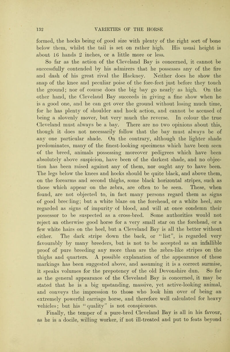 formed, the hocks being of good size with plenty of the right sort of bone below them, whilst the tail is set on rather high. His usual height is about 16 hands 2 inches, or a little more or less. So far as the action of the Cleveland Bay is concerned, it cannot be successfully contended by his admirers that he possesses any of the fire and dash of his great rival the Hackney. Neither does he show the snap of the knee and peculiar poise of the fore-feet just before they touch the ground; nor of course does the big bay go nearly as high. On the other hand, the Cleveland Bay succeeds in giving a fine show when he is a good one, and he can get over the ground without losing much time, for he has plenty of shoulder and hock action, and cannot be accused of being a slovenly mover, but very much the reverse. In colour the true Cleveland must always be a bay. There are no two opinions about this, though it does not necessarily follow that the bay must always be of any one particular shade. On the contrary, although the lighter shade predominates, many of the finest-looking specimens which have been seen of the breed, animals possessing moreover pedigrees which have been absolutely above suspicion, have been of the darkest shade, and no objec- tion has been raised against any of them, nor ought any to have been. The legs below the knees and hocks should be quite black, and above them, on the forearms and second thighs, some black horizontal stripes, such as those which appear on the zebra, are often to be seen. These, vdien found, are not objected to, in fact many persons regard them as signs of good breeding; but a white blaze on the forehead, or a white heel, are regarded as signs of impurity of blood, and will at once condemn their possessor to be suspected as a cross-bred. Some authorities would not reject an otherwise good horse for a very small star on the forehead, or a few white hairs on the heel, but a Cleveland Bay is all the better without either. The dark stripe down the back, or “ list”, is regarded very favourably by many breeders, but is not to be accepted as an infallible proof of pure breeding any more than are the zebra-like stripes on the thighs and quarters. A possible explanation of the ajipearance of these markings has been suggested above, and assuming it is a correct surmise, it speaks volumes for the prepotency of the old Devonshire dun. So far as the general appearance of the Cleveland Bay is concerned, it may be stated that he is a big upstanding, massive, yet active-looking animal, and conveys the impression to those who look him over of being an extremely powerful carriage horse, and therefore well calculated for heavy vehicles; but his “quality” is not conspicuous. Finally, the temper of a pure-bred Cleveland Bay is all in his favour, as he is a docile, willing worker, if not ill-treated and put to feats beyond