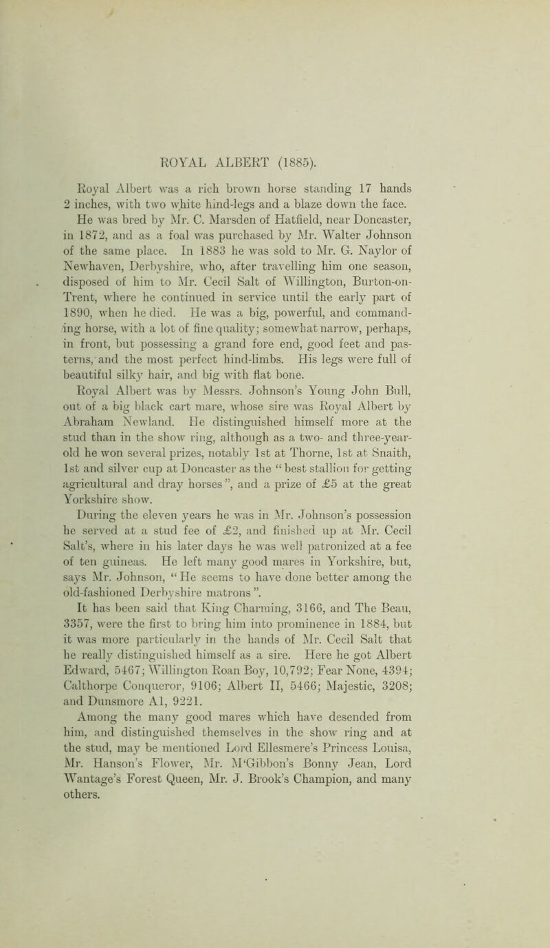 ROYAL ALBERT (1885). Royal Albert was a rich brown horse standing 17 hands 2 inches, with two white hind-legs and a blaze down the face. He was bred by Mr. C. Marsden of Hatfield, near Doncaster, in 1872, and as a foal was purchased by Mr. Walter Johnson of the same place. In 1883 he was sold to Mr. G. Naylor of Newhaven, Derbyshire, who, after travelling him one season, disposed of him to Mr. Cecil Salt of Willington, Burton-on- Trent, where he continued in service until the early part of 1890, when he died. He was a big, powerful, and command- ing horse, with a lot of fine quality; somewhat narrow, perhaps, in front, but possessing a grand fore end, good feet and pas- terns, and the most perfect hind-limbs. His legs were full of beautiful silky hair, and big with flat bone. Royal Albert was by Messrs. Johnson’s Young John Bull, out of a big black cart mare, whose sire was Royal Albert by Abraham Newland. He distinguished himself more at the stud than in the show ring, although as a two- and three-year- old he won several prizes, notably 1st at Thorne, 1st at Snaith, 1st and silver cup at Doncaster as the “ best stallion for getting agricultural and dray horses ”, and a prize of £5 at the great Yorkshire show. During the eleven years he was in Mr. Johnson’s possession he served at a stud fee of £2, and finished up at Mr. Cecil Salt’s, where in his later days he was well patronized at a fee of ten guineas. He left many good mares in Yorkshire, but, says Mr. Johnson, “ He seems to have done better among the old-fashioned Derbyshire matrons ”. It has been said that King Charming, 3166, and The Beau, 3357, were the first to bring him into prominence in 1884, but it was more particularly in the hands of Mr. Cecil Salt that he really distinguished himself as a sire. Here he got Albert Edward, 5467; Willington Roan Boy, 10,792; Fear None, 4391; Calthorpe Conqueror, 9106; Albert II, 5466; Majestic, 3208; and Dunsmore Al, 9221. Among the many good mares which have descnded from him, and distinguished themselves in the show ring and at the stud, may be mentioned Lord Ellesmere’s Princess Louisa, Mr. Hanson’s Flower, Mr. M‘Gibbon’s Bonny Jean, Lord Wantage’s Forest Queen, Mr. J. Brook’s Champion, and many others.