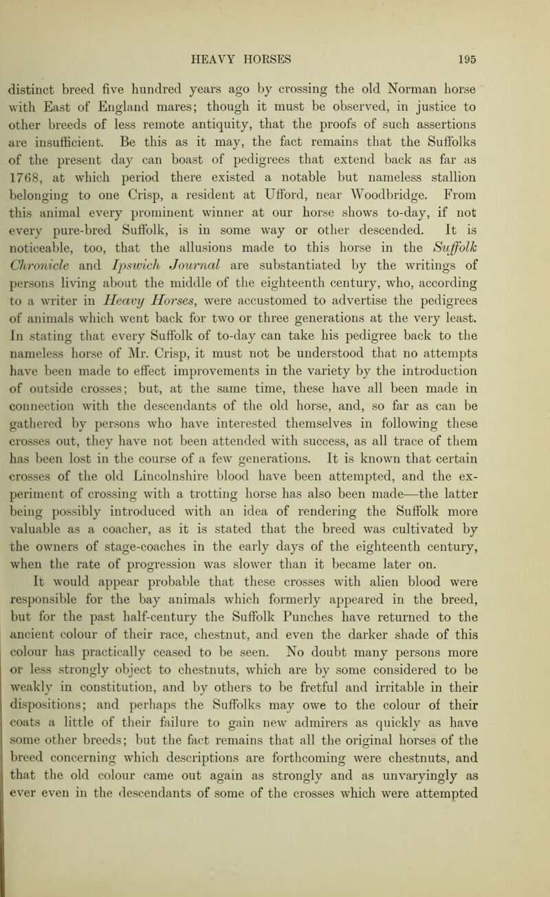 distinct breed five hundred years ago by crossing the old Norman horse with East of England mares; though it must be observed, in justice to other breeds of less remote antiquity, that the proofs of such assertions are insufficient. Be this as it may, the fact remains that the Suffolks of the present day can boast of pedigrees that extend back as far as 1768, at which period there existed a notable but nameless stallion belonging to one Crisp, a resident at Ufford, near Woodbridge. From this animal every prominent winner at our horse shows to-day, if not every pure-bred Suffolk, is in some way or other descended. It is noticeable, too, that the allusions made to this horse in the Suffolk Chronicle and Ipswich Journal are substantiated by the writings of persons living about the middle of the eighteenth century, who, according to a writer in Heavy Horses, were accustomed to advertise the pedigrees of animals which went back for two or three generations at the very least. In stating that every Suffolk of to-day can take his pedigree back to the nameless horse of Mr. Crisp, it must not be understood that no attempts have been made to effect improvements in the variety by the introduction of outside crosses; but, at the same time, these have all been made in connection with the descendants of the old horse, and, so far as can be gathered by persons who have interested themselves in following these crosses out, they have not been attended with success, as all trace of them has been lost in the course of a few generations. It is known that certain crosses of the old Lincolnshire blood have been attempted, and the ex- periment of crossing with a trotting horse has also been made—the latter being possibly introduced with an idea of rendering the Suffolk more valuable as a coacher, as it is stated that the breed was cultivated by the owners of stage-coaches in the early days of the eighteenth century, when the rate of progression was slower than it became later on. It would appear probable that these crosses with alien blood were responsible for the bay animals which formerly appeared in the breed, but for the past half-century the Suffolk Punches have returned to the ancient colour of their race, chestnut, and even the darker shade of this colour has practically ceased to be seen. No doubt many persons more or less strongly object to chestnuts, which are by some considered to be weakly in constitution, and by others to be fretful and irritable in their dispositions; and perhaps the Suffolks may owe to the colour of their coats a little of their failure to gain new admirers as quickly as have some other breeds; but the fact remains that all the original horses of the breed concerning which descriptions are forthcoming were chestnuts, and that the old colour came out again as strongly and as unvaryingly as ever even in the descendants of some of the crosses which were attempted