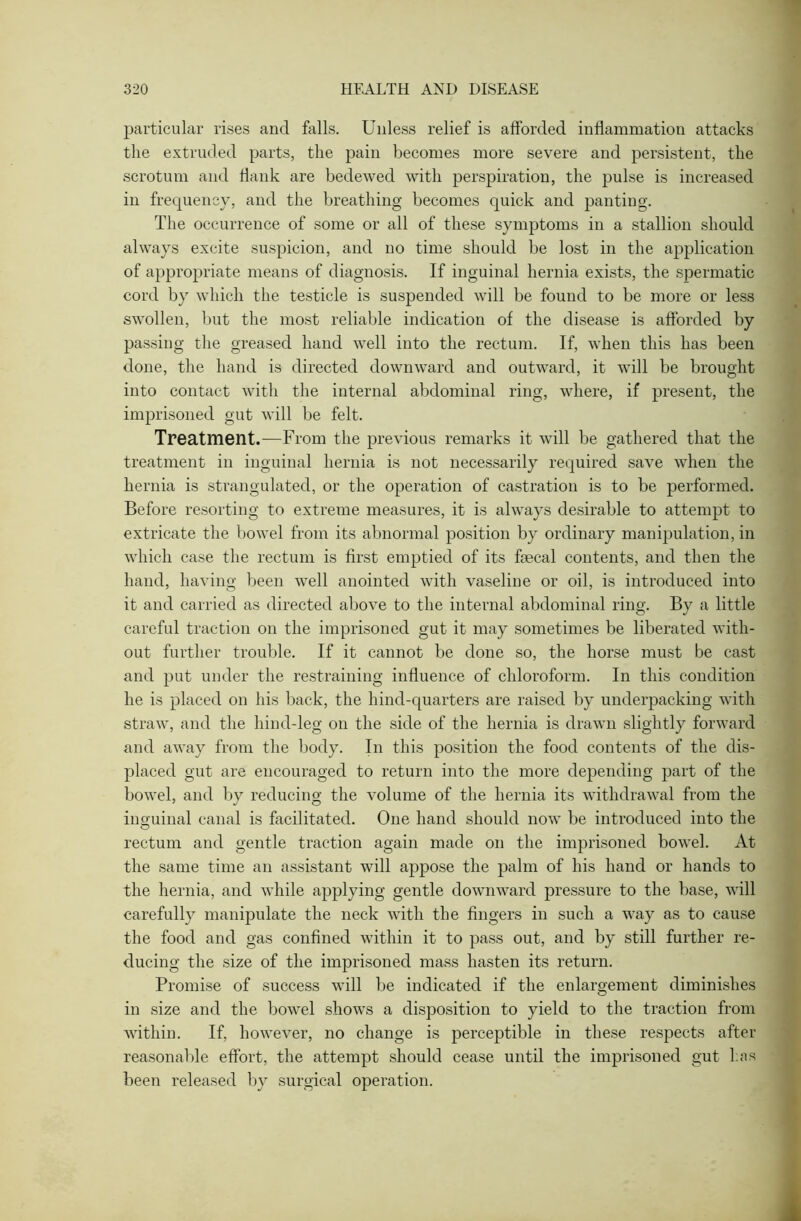 particular rises and falls. Unless relief is afforded inflammation attacks the extruded parts, the pain becomes more severe and persistent, the scrotum and flank are bedewed with perspiration, the pulse is increased in frequency, and the breathing becomes quick and panting. The occurrence of some or all of these symptoms in a stallion should always excite suspicion, and no time should be lost in the application of appropriate means of diagnosis. If inguinal hernia exists, the spermatic cord by which the testicle is suspended will be found to be more or less swollen, but the most reliable indication of the disease is afforded by passing the greased hand well into the rectum. If, when this has been done, the hand is directed downward and outward, it will be brought into contact with the internal abdominal ring, where, if present, the imprisoned gut will be felt. Treatment.—From the previous remarks it will be gathered that the treatment in inguinal hernia is not necessarily required save when the hernia is strangulated, or the operation of castration is to be performed. Before resorting to extreme measures, it is always desirable to attempt to extricate the bowel from its abnormal position by ordinary manipulation, in which case the rectum is first emptied of its faecal contents, and then the hand, having been well anointed with vaseline or oil, is introduced into it and carried as directed above to the internal abdominal ring. By a little careful traction on the imprisoned gut it may sometimes be liberated with- out further trouble. If it cannot be done so, the horse must be cast and put under the restraining influence of chloroform. In this condition he is placed on his back, the hind-quarters are raised by underpacking with straw, and the hind-leg on the side of the hernia is drawn slightly forward and away from the body. In this position the food contents of the dis- placed gut are encouraged to return into the more depending part of the bowel, and by reducing the volume of the hernia its withdrawal from the inguinal canal is facilitated. One hand should now be introduced into the rectum and gentle traction again made on the imprisoned bowel. At the same time an assistant will appose the palm of his hand or hands to the hernia, and while applying gentle downward pressure to the base, will carefully manipulate the neck with the fingers in such a way as to cause the food and gas confined within it to pass out, and by still further re- ducing the size of the imprisoned mass hasten its return. Promise of success will be indicated if the enlargement diminishes in size and the bowel shows a disposition to yield to the traction from within. If, however, no change is perceptible in these respects after reasonable effort, the attempt should cease until the imprisoned gut has been released by surgical operation.