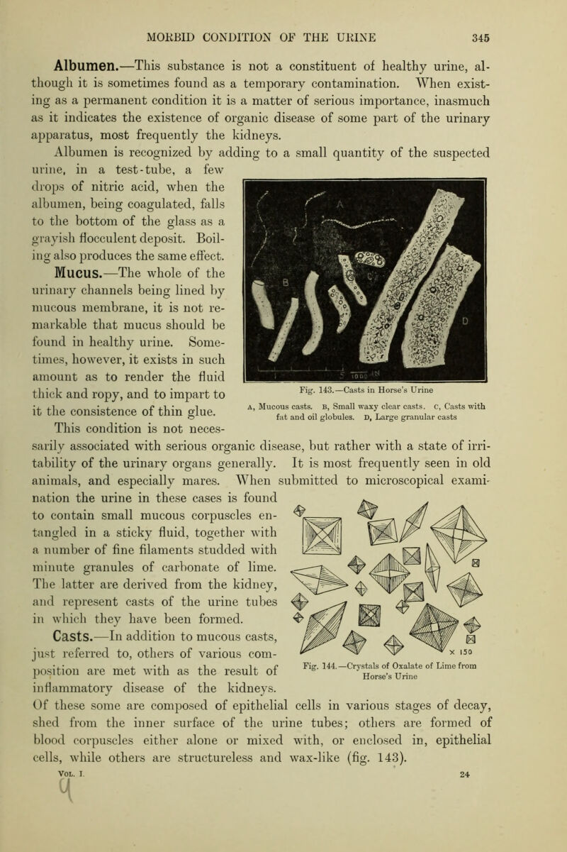 Fig. 143.—Casts in Horse’s Urine a, Mucous casts, b, Small waxy clear casts, c, Casts with fat and oil globules. D, Large granular casts Albumen.—This substance is not a constituent of healthy urine, al- though it is sometimes found as a temporary contamination. When exist- ing as a permanent condition it is a matter of serious importance, inasmuch as it indicates the existence of organic disease of some part of the urinary apparatus, most frequently the kidneys. Albumen is recognized by adding to a small quantity of the suspected urine, in a test-tube, a few drops of nitric acid, when the albumen, being coagulated, falls to the bottom of the glass as a grayish flocculent deposit. Boil- ing also produces the same effect. MUCUS.—The whole of the urinary channels being lined by mucous membrane, it is not re- markable that mucus should be found in healthy urine. Some- times, however, it exists in such amount as to render the fluid thick and ropy, and to impart to it the consistence of thin glue. This condition is not neces- sarily associated with serious organic disease, but rather with a state of irri- tability of the urinary organs generally. It is most frequently seen in old animals, and especially mares. When submitted to microscopical exami- nation the urine in these cases is found to contain small mucous corpuscles en- tangled in a sticky fluid, together with a number of fine filaments studded with minute granules of carbonate of lime. The latter are derived from the kidney, and represent casts of the urine tubes in which they have been formed. Casts.—In addition to mucous casts, just referred to, others of various com- position are met with as the result of inflammatory disease of the kidneys. Of these some are composed of epithelial cells in various stages of decay, shed from the inner surface of the urine tubes; others are formed of blood corpuscles either alone or mixed with, or enclosed in, epithelial cells, while others are structureless and wax-like (fig. 143). VOL. i. Fig. 144.—Crystals of Oxalate of Lime from Horse’s Urine 24