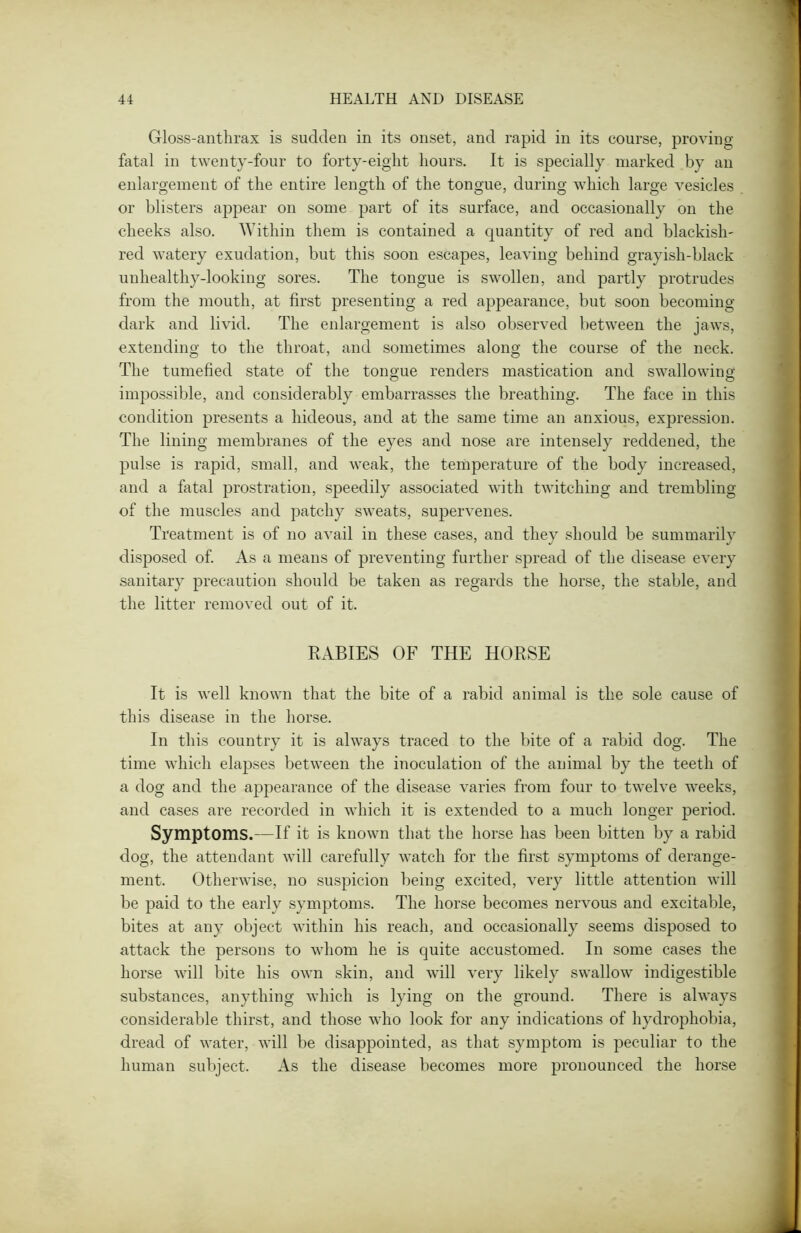 Gloss-anthrax is sudden in its onset, and rapid in its course, proving- fatal in twenty-four to forty-eight hours. It is specially marked by an enlargement of the entire length of the tongue, during which large vesicles or blisters appear on some part of its surface, and occasionally on the cheeks also. Within them is contained a quantity of red and blackish- red watery exudation, but this soon escapes, leaving behind grayish-black unhealthy-looking sores. The tongue is swollen, and partly protrudes from the mouth, at first presenting a red appearance, but soon becoming- dark and livid. The enlargement is also observed between the jaws, extending to the throat, and sometimes along the course of the neck. The tumefied state of the tongue renders mastication and swallowing impossible, and considerably embarrasses the breathing. The face in this condition presents a hideous, and at the same time an anxious, expression. The lining membranes of the eyes and nose are intensely reddened, the pulse is rapid, small, and weak, the temperature of the body increased, and a fatal prostration, speedily associated with twitching and trembling of the muscles and patchy sweats, supervenes. Treatment is of no avail in these cases, and they should be summarily disposed of. As a means of preventing further spread of the disease every sanitary precaution should be taken as regards the horse, the stable, and the litter removed out of it. RABIES OF THE HORSE It is well known that the bite of a rabid animal is the sole cause of this disease in the horse. In this country it is always traced to the bite of a rabid dog. The time which elapses between the inoculation of the animal by the teeth of a dog and the appearance of the disease varies from four to twelve weeks, and cases are recorded in which it is extended to a much longer period. Symptoms.—If it is known that the horse has been bitten by a rabid dog, the attendant will carefully watch for the first symptoms of derange- ment. Otherwise, no suspicion being excited, very little attention will be paid to the early symptoms. The horse becomes nervous and excitable, bites at any object within his reach, and occasionally seems disposed to attack the persons to whom he is quite accustomed. In some cases the horse will bite his own skin, and will very likely swallow indigestible substances, anything which is lying on the ground. There is always considerable thirst, and those who look for any indications of hydrophobia, dread of water, will be disappointed, as that symptom is peculiar to the human subject. As the disease becomes more pronounced the horse