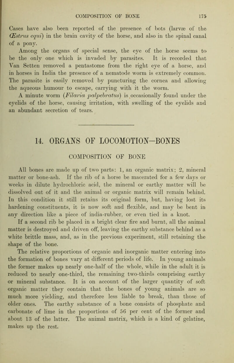 Cases have also been reported of the presence of hots (larvae of the (Estrus equi) in the brain cavity of the horse, and also in the spinal canal of a pony. Among the organs of special sense, the eye of the horse seems to be the only one which is invaded by parasites. It is recorded that Van Setten removed a pentastome from the right eye of a horse, and in horses in India the presence of a nematode worm is extremely common. The parasite is easily removed by puncturing the cornea and allowing the aqueous humour to escape, carrying with it the worm. A minute worm (Filaria pcilpebratus) is .occasionally found under the eyelids of the horse, causing irritation, with swelling of the eyelids and an abundant secretion of tears. 14. ORGANS OF LOCOMOTION-BONES COMPOSITION OF BONE All bones are made up of two parts: 1, an organic matrix; 2, mineral matter or bone-asli. If the rib of a horse be macerated for a few days or weeks in dilute hydrochloric acid, the mineral or earthy matter will be dissolved out of it and the animal or organic matrix will remain behind. In this condition it still retains its original form, but, having lost its hardening constituents, it is now soft and flexible, and may be bent in any direction like a piece of india-rubber, or even tied in a knot. If a second rib be placed in a bright clear fire and burnt, all the animal matter is destroyed and driven oft’, leaving the earthy substance behind as a white brittle mass, and, as in the previous experiment, still retaining the shape of the bone. The relative proportions of organic and inorganic matter entering into the formation of bones vary at different periods of life. In young animals the former makes up nearly one-half of the whole, while in the adult it is reduced to nearly one-third, the remaining two-thirds comprising earthy or mineral substance. It is on account of the larger quantity of soft organic matter they contain that the bones of young animals are so much more yielding, and therefore less liable to break, than those of older ones. The earthy substance of a bone consists of phosphate and carbonate of lime in the proportions of 56 per cent of the former and about 13 of the latter. The animal matrix, which is a kind of gelatine, makes up the rest.