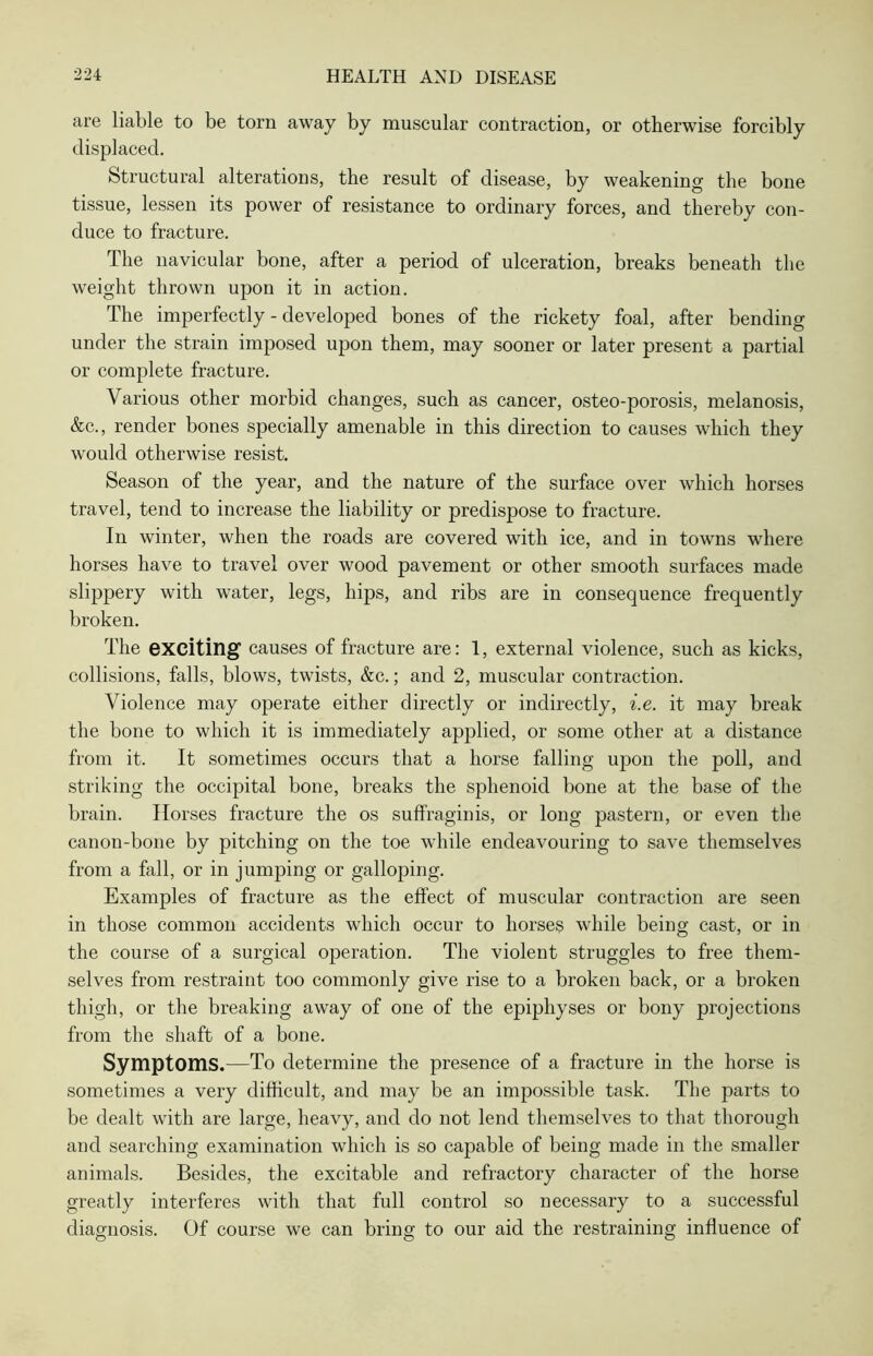 are liable to be torn away by muscular contraction, or otherwise forcibly displaced. Structural alterations, the result of disease, by weakening the bone tissue, lessen its power of resistance to ordinary forces, and thereby con- duce to fracture. The navicular bone, after a period of ulceration, breaks beneath the weight thrown upon it in action. The imperfectly - developed bones of the rickety foal, after bending under the strain imposed upon them, may sooner or later present a partial or complete fracture. Various other morbid changes, such as cancer, osteo-porosis, melanosis, &c., render bones specially amenable in this direction to causes which they would otherwise resist. Season of the year, and the nature of the surface over which horses travel, tend to increase the liability or predispose to fracture. In winter, when the roads are covered with ice, and in towns where horses have to travel over wood pavement or other smooth surfaces made slippery with water, legs, hips, and ribs are in consequence frequently broken. The exciting causes of fracture are: 1, external violence, such as kicks, collisions, falls, blows, twists, &c.; and 2, muscular contraction. Violence may operate either directly or indirectly, i.e. it may break the bone to which it is immediately applied, or some other at a distance from it. It sometimes occurs that a horse falling upon the poll, and striking the occipital bone, breaks the sphenoid bone at the base of the brain. Horses fracture the os suffraginis, or long pastern, or even the canon-bone by pitching on the toe while endeavouring to save themselves from a fall, or in jumping or galloping. Examples of fracture as the effect of muscular contraction are seen in those common accidents which occur to horses while being cast, or in the course of a surgical operation. The violent struggles to free them- selves from restraint too commonly give rise to a broken back, or a broken thigh, or the breaking away of one of the epiphyses or bony projections from the shaft of a bone. Symptoms.—To determine the presence of a fracture in the horse is sometimes a very difficult, and may be an impossible task. The parts to be dealt with are large, heavy, and do not lend themselves to that thorough and searching examination which is so capable of being made in the smaller animals. Besides, the excitable and refractory character of the horse greatly interferes with that full control so necessary to a successful diagnosis. Of course we can bring to our aid the restraining influence of