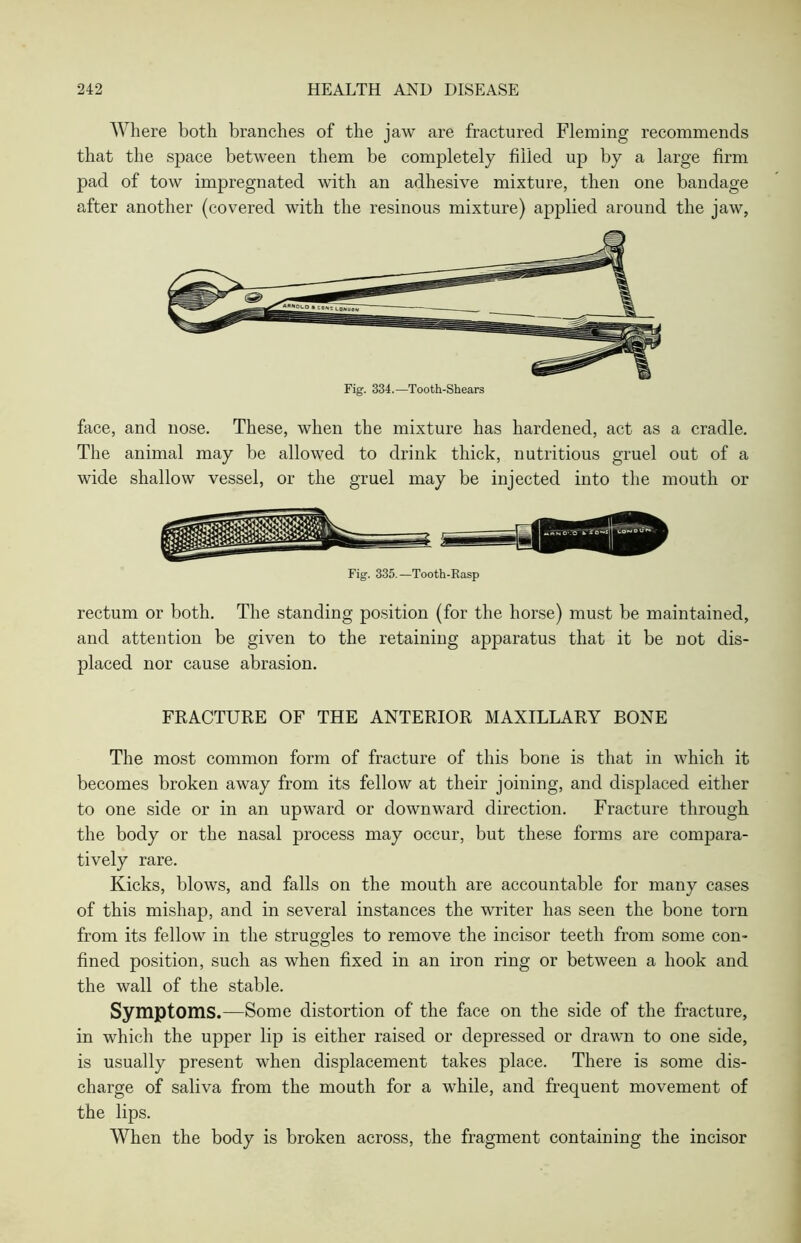 Where both branches of the jaw are fractured Fleming recommends that the space between them be completely filled up by a large firm pad of tow impregnated with an adhesive mixture, then one bandage after another (covered with the resinous mixture) applied around the jaw, Fig. 334.—Tooth-Shears face, and nose. These, when the mixture has hardened, act as a cradle. The animal may be allowed to drink thick, nutritious gruel out of a wide shallow vessel, or the gruel may be injected into the mouth or Fig. 335.—Tooth-Rasp rectum or both. The standing position (for the horse) must be maintained, and attention be given to the retaining apparatus that it be not dis- placed nor cause abrasion. FRACTURE OF THE ANTERIOR MAXILLARY BONE The most common form of fracture of this bone is that in which it becomes broken away from its fellow at their joining, and displaced either to one side or in an upward or downward direction. Fracture through the body or the nasal process may occur, but these forms are compara- tively rare. Kicks, blows, and falls on the mouth are accountable for many cases of this mishap, and in several instances the writer has seen the bone torn from its fellow in the struggles to remove the incisor teeth from some con- fined position, such as when fixed in an iron ring or between a hook and the wall of the stable. Symptoms.—Some distortion of the face on the side of the fracture, in which the upper lip is either raised or depressed or drawn to one side, is usually present when displacement takes place. There is some dis- charge of saliva from the mouth for a while, and frequent movement of the lips. When the body is broken across, the fragment containing the incisor