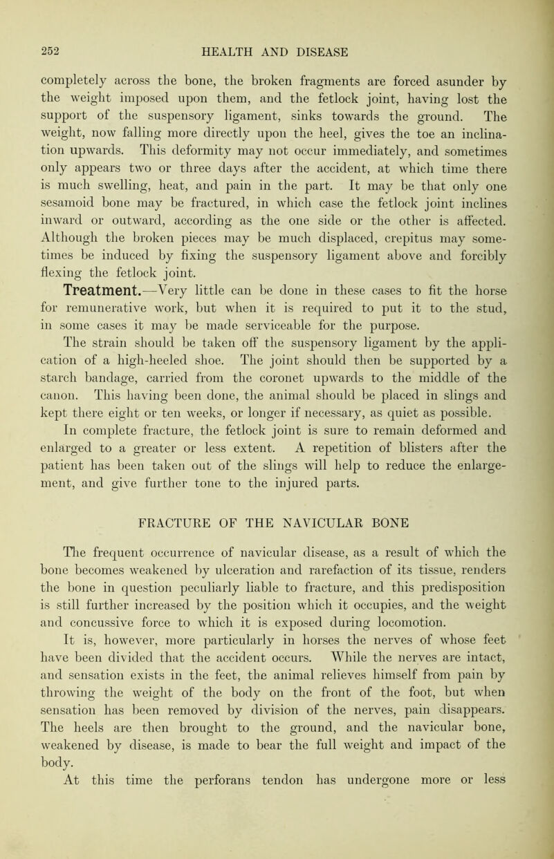 completely across the bone, the broken fragments are forced asunder by the weight imposed upon them, and the fetlock joint, having lost the support of the suspensory ligament, sinks towards the ground. The weight, now falling more directly upon the heel, gives the toe an inclina- tion upwards. This deformity may not occur immediately, and sometimes only appears two or three days after the accident, at which time there is much swelling, heat, and pain in the part. It may be that only one sesamoid bone may be fractured, in which case the fetlock joint inclines inward or outward, according as the one side or the other is affected. Although the broken pieces may be much displaced, crepitus may some- times be induced by fixing the suspensory ligament above and forcibly flexing the fetlock joint. Treatment.—Very little can be done in these cases to fit the horse for remunerative work, but when it is required to put it to the stud, in some cases it may be made serviceable for the purpose. The strain should be taken oft’ the suspensory ligament by the appli- cation of a high-heeled shoe. The joint should then be supported by a starch bandage, carried from the coronet upwards to the middle of the canon. This having been done, the animal should be placed in slings and kept there eight or ten weeks, or longer if necessary, as quiet as possible. In complete fracture, the fetlock joint is sure to remain deformed and enlarged to a greater or less extent. A repetition of blisters after the patient has been taken out of the slings will help to reduce the enlarge- ment, and give further tone to the injured parts. FRACTURE OF THE NAVICULAR BONE The frequent occurrence of navicular disease, as a result of which the bone becomes weakened by ulceration and rarefaction of its tissue, renders the bone in question peculiarly liable to fracture, and this predisposition is still further increased by the position which it occupies, and the weight and concussive force to which it is exposed during locomotion. It is, however, more particularly in horses the nerves of whose feet have been divided that the accident occurs. While the nerves are intact, and sensation exists in the feet, the animal relieves himself from pain by throwing the weight of the body on the front of the foot, but when sensation has been removed by division of the nerves, pain disappears. The heels are then brought to the ground, and the navicular bone, weakened by disease, is made to bear the full weight and impact of the body. At this time the perforans tendon has undergone more or less