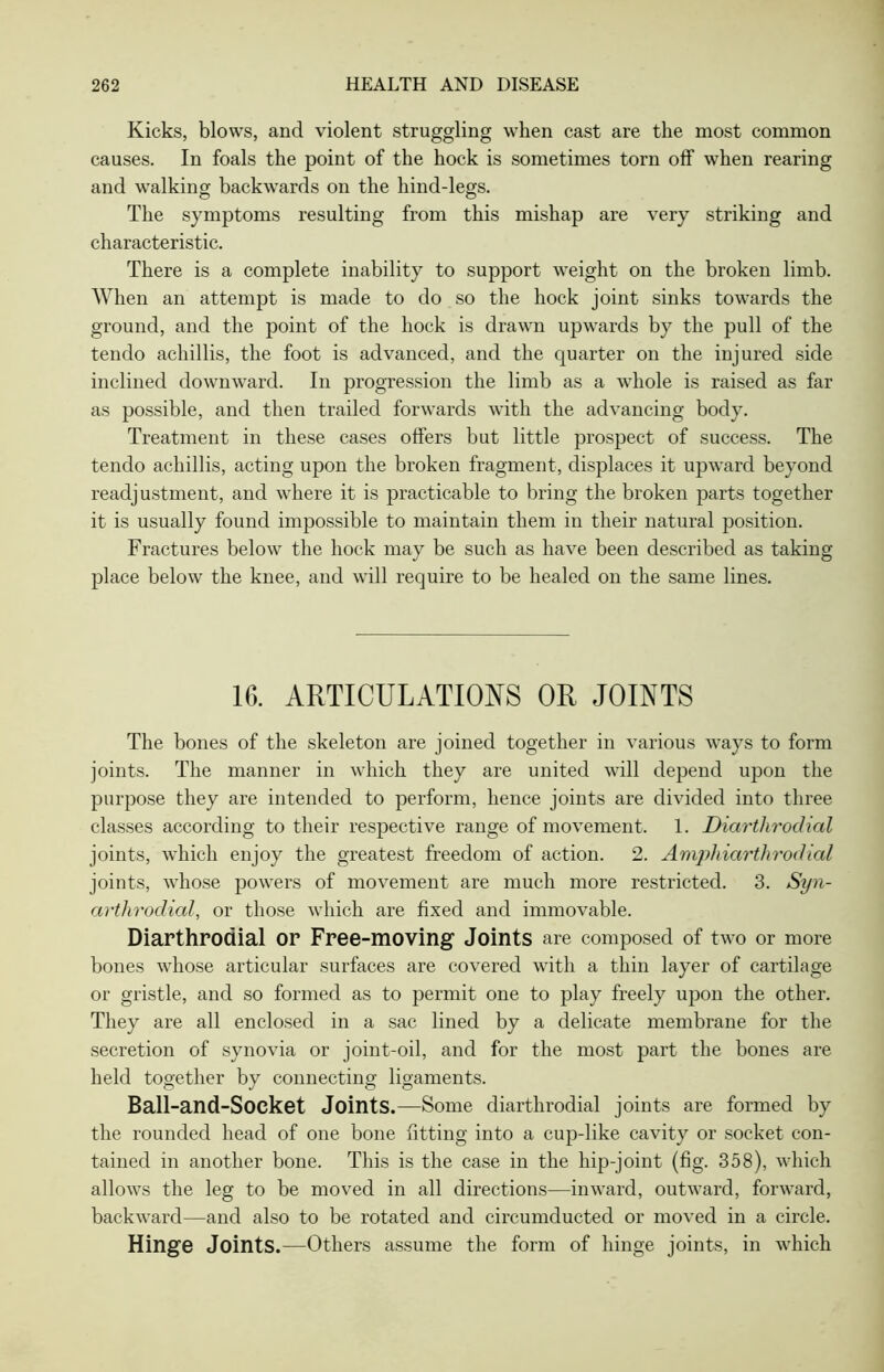 Kicks, blows, and violent struggling when cast are the most common causes. In foals the point of the hock is sometimes torn off when rearing and walking backwards on the hind-legs. The symptoms resulting from this mishap are very striking and characteristic. There is a complete inability to support weight on the broken limb. When an attempt is made to do so the hock joint sinks towards the ground, and the point of the hock is drawn upwards by the pull of the tendo achillis, the foot is advanced, and the quarter on the injured side inclined downward. In progression the limb as a whole is raised as far as possible, and then trailed forwards with the advancing body. Treatment in these cases offers but little prospect of success. The tendo achillis, acting upon the broken fragment, displaces it upward beyond readj ustment, and where it is practicable to bring the broken parts together it is usually found impossible to maintain them in their natural position. Fractures below the hock may be such as have been described as taking place below the knee, and will require to be healed on the same lines. 16. ARTICULATIONS OR JOINTS The bones of the skeleton are joined together in various ways to form joints. The manner in which they are united will depend upon the purpose they are intended to perform, hence joints are divided into three classes according to their respective range of movement. 1. Diarthrodial joints, which enjoy the greatest freedom of action. 2. Ampliiarthrod ial joints, whose powers of movement are much more restricted. 3. Syn- arthrodial, or those which are fixed and immovable. Diarthrodial or Free-moving Joints are composed of two or more bones whose articular surfaces are covered with a thin layer of cartilage or gristle, and so formed as to permit one to play freely upon the other. They are all enclosed in a sac lined by a delicate membrane for the secretion of synovia or joint-oil, and for the most part the bones are held together by connecting ligaments. Ball-and-Socket Joints.—Some diarthrodial joints are formed by the rounded head of one bone fitting into a cup-like cavity or socket con- tained in another bone. This is the case in the hip-joint (fig. 358), which allows the leg to be moved in all directions—inward, outward, forward, backward—and also to be rotated and circumducted or moved in a circle. Hinge Joints.—Others assume the form of hinge joints, in which