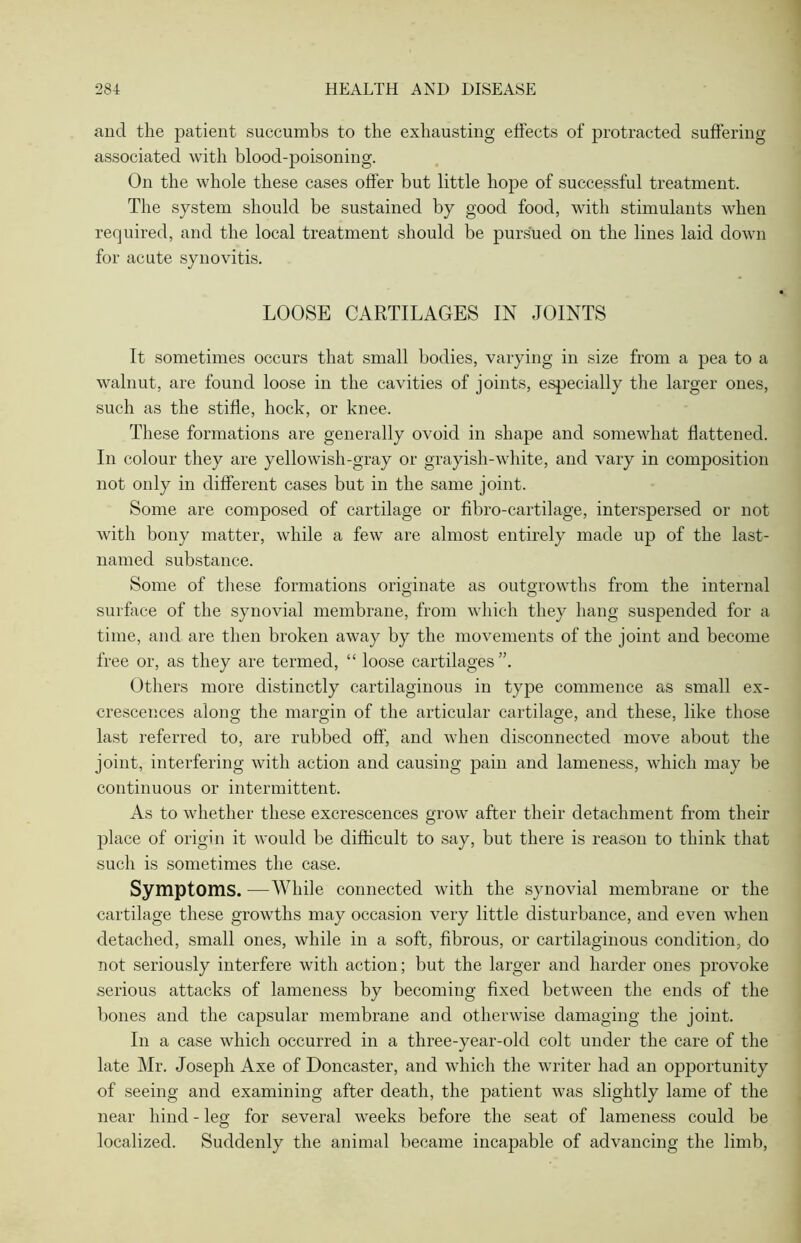 and the patient succumbs to the exhausting effects of protracted suffering associated with blood-poisoning. On the whole these cases offer but little hope of successful treatment. The system should be sustained by good food, with stimulants when required, and the local treatment should be pursued on the lines laid down for acute synovitis. LOOSE CARTILAGES IN JOINTS It sometimes occurs that small bodies, varying in size from a pea to a walnut, are found loose in the cavities of joints, especially the larger ones, such as the stifle, hock, or knee. These formations are generally ovoid in shape and somewhat flattened. In colour they are yellowish-gray or grayish-white, and vary in composition not only in different cases but in the same joint. Some are composed of cartilage or fibro-cartilage, interspersed or not with bony matter, while a few are almost entirely made up of the last- named substance. Some of these formations originate as outgrowths from the internal surface of the synovial membrane, from which they hang suspended for a time, and are then broken away by the movements of the joint and become free or, as they are termed, “ loose cartilages Others more distinctly cartilaginous in type commence as small ex- crescences along the margin of the articular cartilage, and these, like those last referred to, are rubbed off, and when disconnected move about the joint, interfering with action and causing pain and lameness, which may be continuous or intermittent. As to whether these excrescences grow after their detachment from their place of origin it would be difficult to say, but there is reason to think that such is sometimes the case. Symptoms. —While connected with the synovial membrane or the cartilage these growths may occasion very little disturbance, and even when detached, small ones, while in a soft, fibrous, or cartilaginous condition, do not seriously interfere with action; but the larger and harder ones provoke serious attacks of lameness by becoming fixed between the ends of the bones and the capsular membrane and otherwise damaging the joint. In a case which occurred in a three-year-old colt under the care of the late Mr. Joseph Axe of Doncaster, and which the writer had an opportunity of seeing and examining after death, the patient was slightly lame of the near hind - leg for several weeks before the seat of lameness could be localized. Suddenly the animal became incapable of advancing the limb,