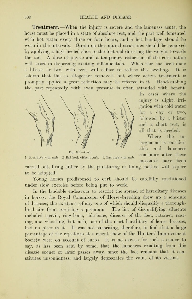 Treatment.—When the injury is severe and the lameness acute, the horse must be placed in a state of absolute rest, and the part well fomented with hot water every three or four hours, and a hot bandage should be worn in the intervals. Strain on the injured structures should be removed by applying a high-heeled shoe to the foot and directing the weight towards the toe. A dose of physic and a temporary reduction of the corn ration will assist in dispersing existing inflammation. When this has been done a blister or two, with rest, will suffice to reduce the swelling. It is seldom that this is altogether removed, but where active treatment is promptly applied a great reduction may be effected in it. Hand-rubbing the part repeatedly with even pressure is often attended with benefit. In cases where the injury is slight, irri- gation with cold water for a day or two, followed by a blister and a short rest, is all that is needed. Where the en- largement is consider- able and lameness continues after these measures have been carried out, firing either by the puncturing or lining method will require to be adopted. Young horses predisposed to curb should be carefully conditioned under slow exercise before being put to work. In the laudable endeavour to restrict the spread of hereditary diseases in horses, the Royal Commission of Horse-breeding drew up a schedule of diseases, the existence of any one of which should disqualify a thorough- bred sire from receiving a premium. The list of disqualifying ailments included spavin, ring-bone, side-bone, diseases of the feet, cataract, roar- ing, and whistling, but curb, one of the most hereditary of horse diseases, had no place in it. It was not surprising, therefore, to find that a large percentage of the rejections at a recent show of the Hunters’ Improvement Society were on account of curbs. It is no excuse for such a course to say, as has been said by some, that the lameness resulting from this disease sooner or later passes away, since the fact remains that it con- stitutes unsoundness, and largely depreciates the value of its victims. 1, Good hock with curb. 2, Bad hock without curb. 3, Bad hock with curb.