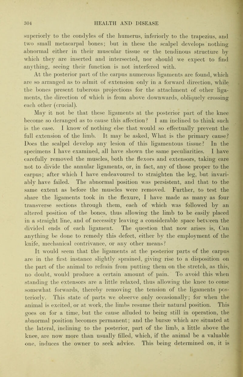 superiorly to the condyles of the humerus, inferiorly to the trapezius, and two small metacarpal bones; but in these the scalpel develops'nothing- abnormal either in their muscular tissue or the tendinous structure by which they are inserted and intersected, nor should we expect to find anything, seeing their function is not interfered with. At the posterior part of the carpus numerous ligaments are found, which are so arranged as to admit of extension only in a forward direction, while the bones present tuberous projections for the attachment of other liga- ments, the direction of which is from above downwards, obliquely crossing each other (crucial). May it not be that these ligaments at the posterior part of the knee become so deranged as to cause this affection? 1 am inclined to think such is the case. I know of nothing else that would so effectually prevent the full extension of the limb. It may be asked, What is the primary cause? Does the scalpel develop any lesion of this ligamentous tissue? In the specimens I have examined, all have shown the same peculiarities. I have carefully removed the muscles, both the flexors and extensors, taking care not to divide the annular ligaments, or, in fact, any of those proper to the carpus; after which I have endeavoured to straighten the leg, but invari- ably have failed. The abnormal position was persistent, and that to the same extent as before the muscles were removed. Further, to test the share the ligaments took in the flexure, I have made as many as four transverse sections through them, each of which was followed by an altered position of the bones, thus allowing the limb to be easily placed in a straight line, and of necessity leaving a considerable space between the divided ends of each ligament. The question that now arises is, Can anything be done to remedy this defect, either bv the employment of the knife, mechanical contrivance, or any other means? It would seem that the ligaments at the posterior parts of the carpus are in the first instance slightly sprained, giving rise to a disposition on the part of the animal to refrain from putting them on the stretch, as this, no doubt, would produce a certain amount of pain. To avoid this when standing the extensors are a little relaxed, thus allowing the knee to come somewhat forwards, thereby removing the tension of the ligaments pos- teriorly. This state of parts we observe only occasionally; for when the animal is excited, or at work, the limbs resume their natural position. This goes on for a time, but the cause alluded to being still in operation, the abnormal position becomes permanent ; and the bursae which are situated at the lateral, inclining to the posterior, part of the limb, a little above the knee, are now more than usually filled, which, if the animal be a valuable one, induces the owner to seek advice. This being determined on, it is