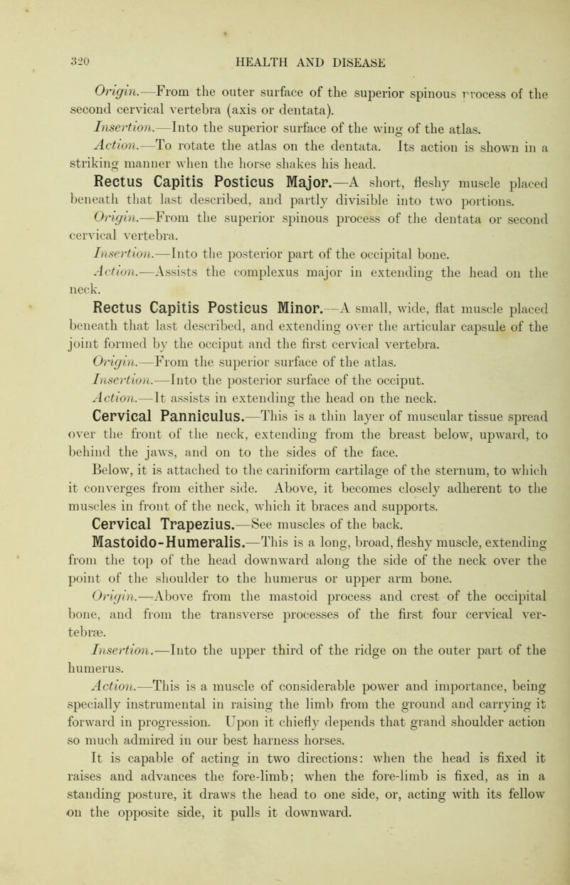 Origin.—From the outer surface of the superior spinous rrocess of the second cervical vertebra (axis or dentata). Insertion.—Into the superior surface of the wing of the atlas. Action.-—lo rotate the atlas on the dentata. Its action is shown in a striking manner when the horse shakes his head. Rectus Capitis Posticus Major.—A short, fleshy muscle placed beneath that last described, and partly divisible into two portions. Origin.—From the superior spinous process of the dentata or second cervical vertebra. Insertion.—Into the posterior part of the occipital bone. Action.—Assists the complexus major in extending the head on the neck. Rectus Capitis Posticus Minor. -A small, wide, flat muscle placed beneath that last described, and extending over the articular capsule of the joint formed by the occiput and the first cervical vertebra. Origin.—From the superior surface of the atlas. Insertion.—Into the posterior surface of the occiput. Action.—It assists in extending the head on the neck. Cervical Panniculus.—This is a thin layer of muscular tissue spread over the front of the neck, extending from the breast below, upward, to behind the jaws, and on to the sides of the face. Below, it is attached to the cariniform cartilage of the sternum, to which it converges from either side. Above, it becomes closely adherent to the muscles in front of the neck, which it braces and supports. Cervical Trapezius.—See muscles of the back. Mastoido-Humeralis.—This is a long, broad, fleshy muscle, extending from the top of the head downward along the side of the neck over the point of the shoulder to the humerus or upper arm bone. Origin. —Above from the mastoid process and crest of the occipital bone, and from the transverse processes of the first four cervical ver- tebrae. Insertion.—Into the upper third of the ridge on the outer part of the humerus. Action.—This is a muscle of considerable power and importance, being specially instrumental in raising the limb from the ground and carrying it forward in progression. Upon it chiefly depends that grand shoulder action so much admired in our best harness horses. It is capable of acting in two directions: when the head is fixed it raises and advances the fore-limb; when the fore-limb is fixed, as in a standing posture, it draws the head to one side, or, acting with its fellow on the opposite side, it pulls it downward.