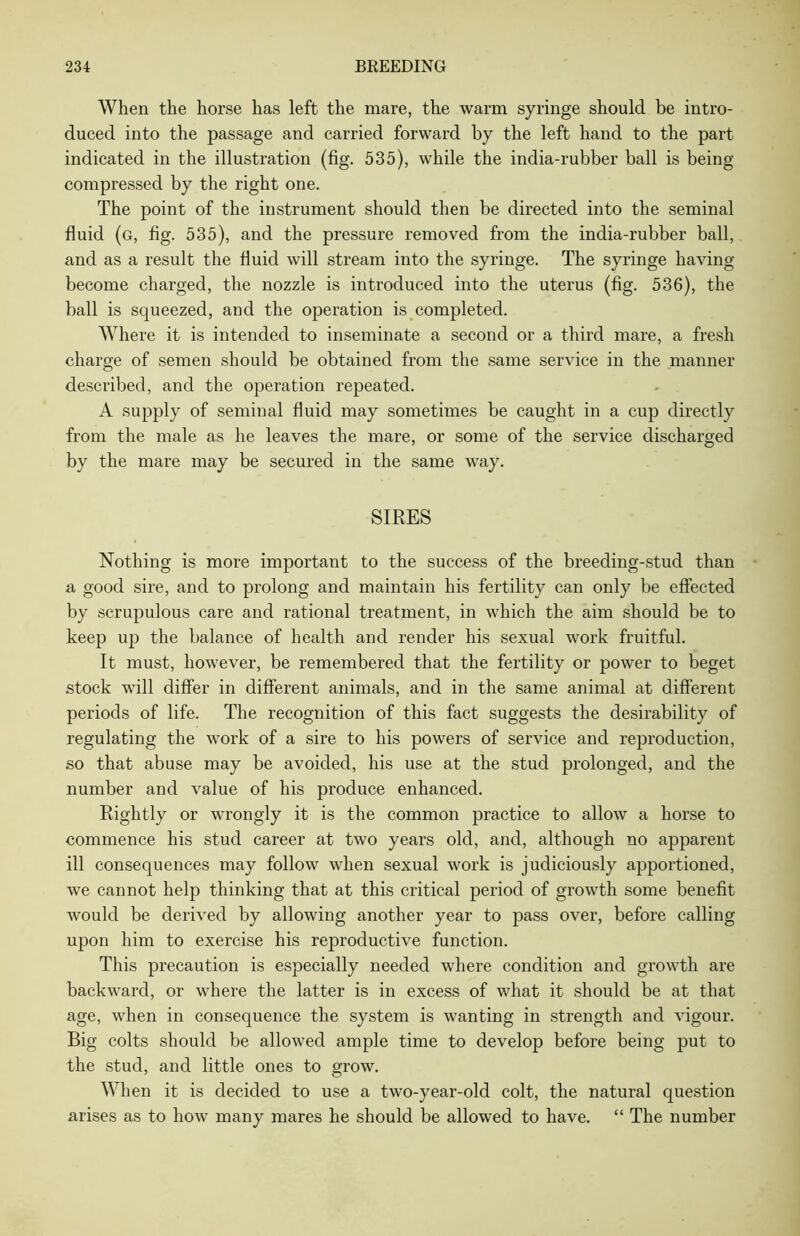 When the horse has left the mare, the warm syringe should be intro- duced into the passage and carried forward by the left hand to the part indicated in the illustration (fig. 535), while the india-rubber ball is being compressed by the right one. The point of the instrument should then be directed into the seminal fluid (g, fig. 535), and the pressure removed from the india-rubber ball, and as a result the fluid will stream into the syringe. The syringe having- become charged, the nozzle is introduced into the uterus (fig. 536), the ball is squeezed, and the operation is completed. Where it is intended to inseminate a second or a third mare, a fresh charge of semen should be obtained from the same service in the manner described, and the operation repeated. A supply of seminal fluid may sometimes be caught in a cup directly from the male as he leaves the mare, or some of the service discharged by the mare may be secured in the same way. SIRES Nothing is more important to the success of the breeding-stud than a good sire, and to prolong and maintain his fertility can only be effected by scrupulous care and rational treatment, in which the aim should be to keep up the balance of health and render his sexual work fruitful. It must, however, be remembered that the fertility or power to beget stock will differ in different animals, and in the same animal at different periods of life. The recognition of this fact suggests the desirability of regulating the work of a sire to his powers of service and reproduction, so that abuse may be avoided, his use at the stud prolonged, and the number and value of his produce enhanced. Rightly or wrongly it is the common practice to allow a horse to commence his stud career at two years old, and, although no apparent ill consequences may follow when sexual work is judiciously apportioned, we cannot help thinking that at this critical period of growth some benefit would be derived by allowing another year to pass over, before calling upon him to exercise his reproductive function. This precaution is especially needed where condition and growth are backward, or where the latter is in excess of what it should be at that age, when in consequence the system is wanting in strength and vigour. Big colts should be allowed ample time to develop before being put to the stud, and little ones to grow. When it is decided to use a two-year-old colt, the natural question arises as to how many mares he should be allowed to have. “ The number