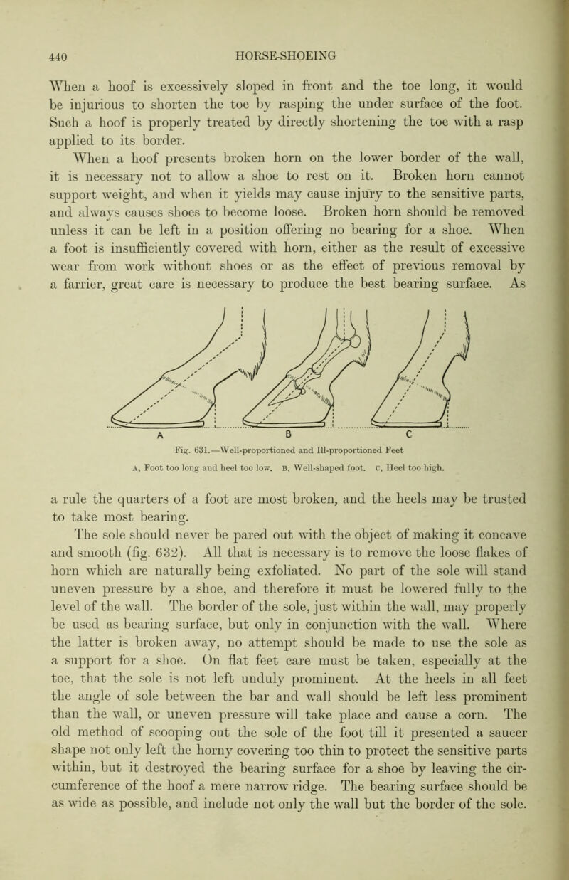 AYlien a lioof is excessively sloped in front and the toe long, it would be injurious to shorten the toe by rasping the under surface of the foot. Such a hoof is properly treated by directly shortening the toe with a rasp applied to its border. When a hoof presents broken horn on the lower border of the wall, it is necessary not to allow a shoe to rest on it. Broken horn cannot support weight, and when it yields may cause injury to the sensitive parts, and always causes shoes to become loose. Broken horn should be removed unless it can be left in a position offering no bearing for a shoe. When a foot is insufficiently covered with horn, either as the result of excessive wear from work without shoes or as the effect of previous removal by a farrier, great care is necessary to produce the best bearing surface. As Fig. 631.—Well-proportioned and Ill-proportioned Feet a, Foot too long and heel too low. b, Well-shaped foot, c, Heel too high. a rule the quarters of a foot are most broken, and the heels may be trusted to take most bearing. The sole should never be pared out with the object of making it concave and smooth (fig. 632). All that is necessary is to remove the loose flakes of horn wdiich are naturally being exfoliated. No part of the sole will stand uneven pressure by a shoe, and therefore it must be lowered fully to the level of the wall. The border of the sole, just within the wall, may properly be used as bearing surface, but only in conjunction with the wall. Where the latter is broken away, no attempt should be made to use the sole as a support for a shoe. On flat feet care must be taken, especially at the toe, that the sole is not left unduly prominent. At the heels in all feet the angle of sole between the bar and wall should be left less prominent than the wall, or uneven pressure will take place and cause a corn. The old method of scooping out the sole of the foot till it presented a saucer shape not only left the horny covering too thin to protect the sensitive parts within, but it destroyed the bearing surface for a shoe by leaving the cir- cumference of the hoof a mere narrow ridge. The bearing surface should be as wide as possible, and include not only the wall but the border of the sole.