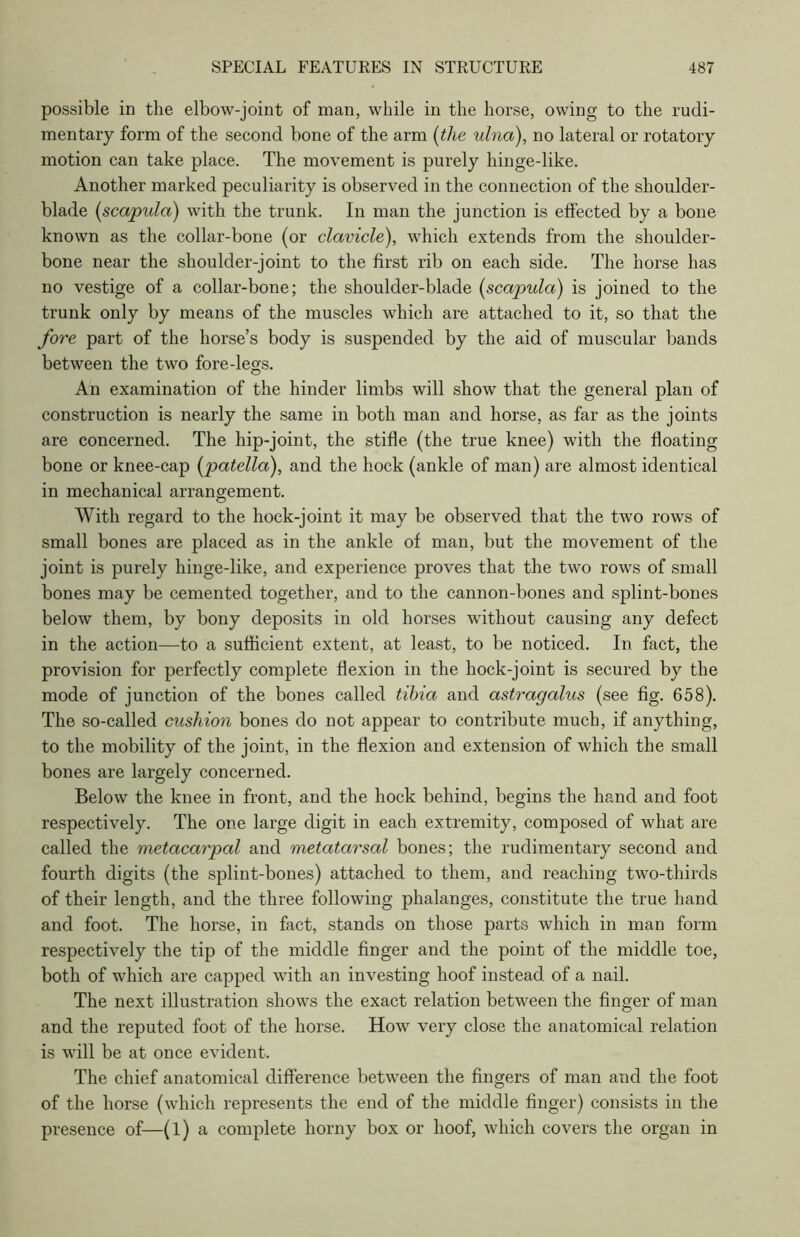 possible in the elbow-joint of man, while in the horse, owing to the rudi- mentary form of the second bone of the arm (the ulna), no lateral or rotatory motion can take place. The movement is purely hinge-like. Another marked peculiarity is observed in the connection of the shoulder- blade (scapula) with the trunk. In man the junction is effected by a bone known as the collar-bone (or clavicle), which extends from the shoulder- bone near the shoulder-joint to the first rib on each side. The horse has no vestige of a collar-bone; the shoulder-blade (scapula) is joined to the trunk only by means of the muscles which are attached to it, so that the fore part of the horse’s body is suspended by the aid of muscular bands between the two fore-legs. An examination of the hinder limbs will show that the general plan of construction is nearly the same in both man and horse, as far as the joints are concerned. The hip-joint, the stifle (the true knee) with the floating bone or knee-cap (patella), and the hock (ankle of man) are almost identical in mechanical arrangement. With regard to the hock-joint it may be observed that the two rows of small bones are placed as in the ankle of man, but the movement of the joint is purely hinge-like, and experience proves that the two rows of small bones may be cemented together, and to the cannon-bones and splint-bones below them, by bony deposits in old horses without causing any defect in the action—to a sufficient extent, at least, to be noticed. In fact, the provision for perfectly complete flexion in the hock-joint is secured by the mode of junction of the bones called tibia and astragalus (see fig. 658). The so-called cushion bones do not appear to contribute much, if anything, to the mobility of the joint, in the flexion and extension of which the small bones are largely concerned. Below the knee in front, and the hock behind, begins the hand and foot respectively. The one large digit in each extremity, composed of what are called the metacarpal and metatarsal bones; the rudimentary second and fourth digits (the splint-bones) attached to them, and reaching two-thirds of their length, and the three following phalanges, constitute the true hand and foot. The horse, in fact, stands on those parts which in man form respectively the tip of the middle finger and the point of the middle toe, both of which are capped with an investing hoof instead of a nail. The next illustration shows the exact relation between the finger of man and the reputed foot of the horse. How very close the anatomical relation is will be at once evident. The chief anatomical difference between the fingers of man and the foot of the horse (which represents the end of the middle finger) consists in the presence of—(l) a complete horny box or hoof, which covers the organ in