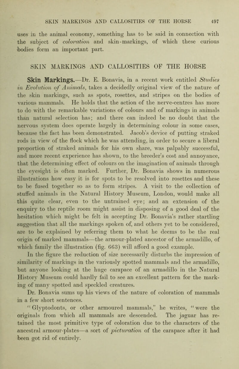 uses in the animal economy, something has to be said in connection with the subject of coloration and skin-markings, of which these curious bodies form an important part. SKIN MARKINGS AND CALLOSITIES OF THE HORSE Skin Markings.—Dr. E. Bonavia, ill a recent work entitled Studies in Evolution of Animals, takes a decidedly original view of the nature of the skin markings, such as spots, rosettes, and stripes on the bodies of various mammals. He holds that the action of the nerve-centres has more to dc with the remarkable variations of colours and of markings in animals than natural selection has; and there can indeed be no doubt that the nervous system does operate largely in determining colour in some cases, because the fact has been demonstrated. Jacob’s device of putting straked rods in view of the flock which he was attending, in order to secure a liberal proportion of straked animals for his own share, was palpably successful, and more recent experience has shown, to the breeder’s cost and annoyance, that the determining effect of colours on the imagination of animals through the eyesight is often marked. Further, Dr. Bonavia shows in numerous illustrations how easy it is for spots to be resolved into rosettes and these to be fused together so as to form stripes. A visit to the collection of stuffed animals in the Natural History Museum, London, would make all this quite clear, even to the untrained eye; and an extension of the enquiry to the reptile room might assist in disposing of a good deal of the hesitation which might be felt in accepting Dr. Bonavia’s rather startling suggestion that all the markings spoken of, and others yet to be considered, are to be explained by referring them to what he deems to be the real origin of marked mammals—the armour-plated ancestor of the armadillo, of which family the illustration (fig. 663) will afford a good example. In the figure the reduction of size necessarily disturbs the impression of similarity of markings in the variously spotted mammals and the armadillo, but anyone looking at the huge carapace of an armadillo in the Natural History Museum could hardly fail to see an excellent pattern for the mark- ing of many spotted and speckled creatures. Dr. Bonavia sums up his views of the nature of coloration of mammals in a few short sentences. e£ Glyptodonts, or other armoured mammals,” he writes, “ were the originals from which all mammals are descended. The jaguar has re- tained the most primitive type of coloration due to the characters of the ancestral armour-plates—a sort of picturation of the carapace after it had been got rid of entirely.