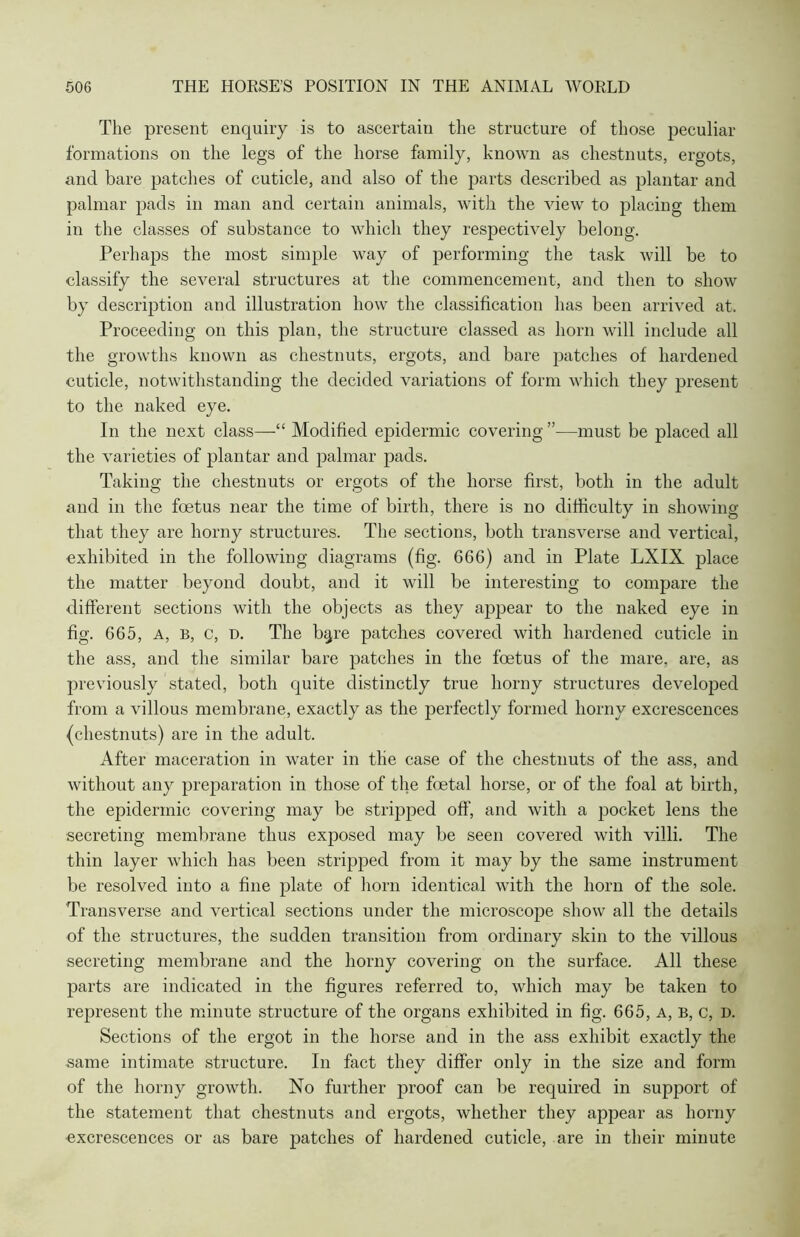 The present enquiry is to ascertain the structure of those peculiar formations on the legs of the horse family, known as chestnuts, ergots, and bare patches of cuticle, and also of the parts described as plantar and palmar pads in man and certain animals, with the view to placing them in the classes of substance to which they respectively belong. Perhaps the most simple way of performing the task will be to classify the several structures at the commencement, and then to show by description and illustration how the classification has been arrived at. Proceeding on this plan, the structure classed as horn will include all the growths known as chestnuts, ergots, and bare patches of hardened cuticle, notwithstanding the decided variations of form which they present to the naked eye. In the next class—“ Modified epidermic covering”-—must be placed all the varieties of plantar and palmar pads. Taking the chestnuts or ergots of the horse first, both in the adult and in the foetus near the time of birth, there is no difficulty in showing that they are horny structures. The sections, both transverse and vertical, exhibited in the following diagrams (fig. 666) and in Plate LXIX place the matter beyond doubt, and it will be interesting to compare the different sections with the objects as they appear to the naked eye in fig. 665, a, B, c, D. The b^re patches covered with hardened cuticle in the ass, and the similar bare patches in the foetus of the mare, are, as previously stated, both quite distinctly true horny structures developed from a villous membrane, exactly as the perfectly formed horny excrescences (chestnuts) are in the adult. After maceration in water in the case of the chestnuts of the ass, and without any preparation in those of the foetal horse, or of the foal at birth, the epidermic covering may be stripped off, and with a pocket lens the secreting membrane thus exposed may be seen covered with villi. The thin layer which has been stripped from it may by the same instrument be resolved into a fine plate of horn identical with the horn of the sole. Transverse and vertical sections under the microscope show all the details of the structures, the sudden transition from ordinary skin to the villous secreting membrane and the horny covering on the surface. All these parts are indicated in the figures referred to, which may be taken to represent the minute structure of the organs exhibited in fig. 665, a, b, c, d. Sections of the ergot in the horse and in the ass exhibit exactly the same intimate structure. In fact they differ only in the size and form of the horny growth. No further proof can be required in support of the statement that chestnuts and ergots, whether they appear as horny excrescences or as bare patches of hardened cuticle, are in their minute