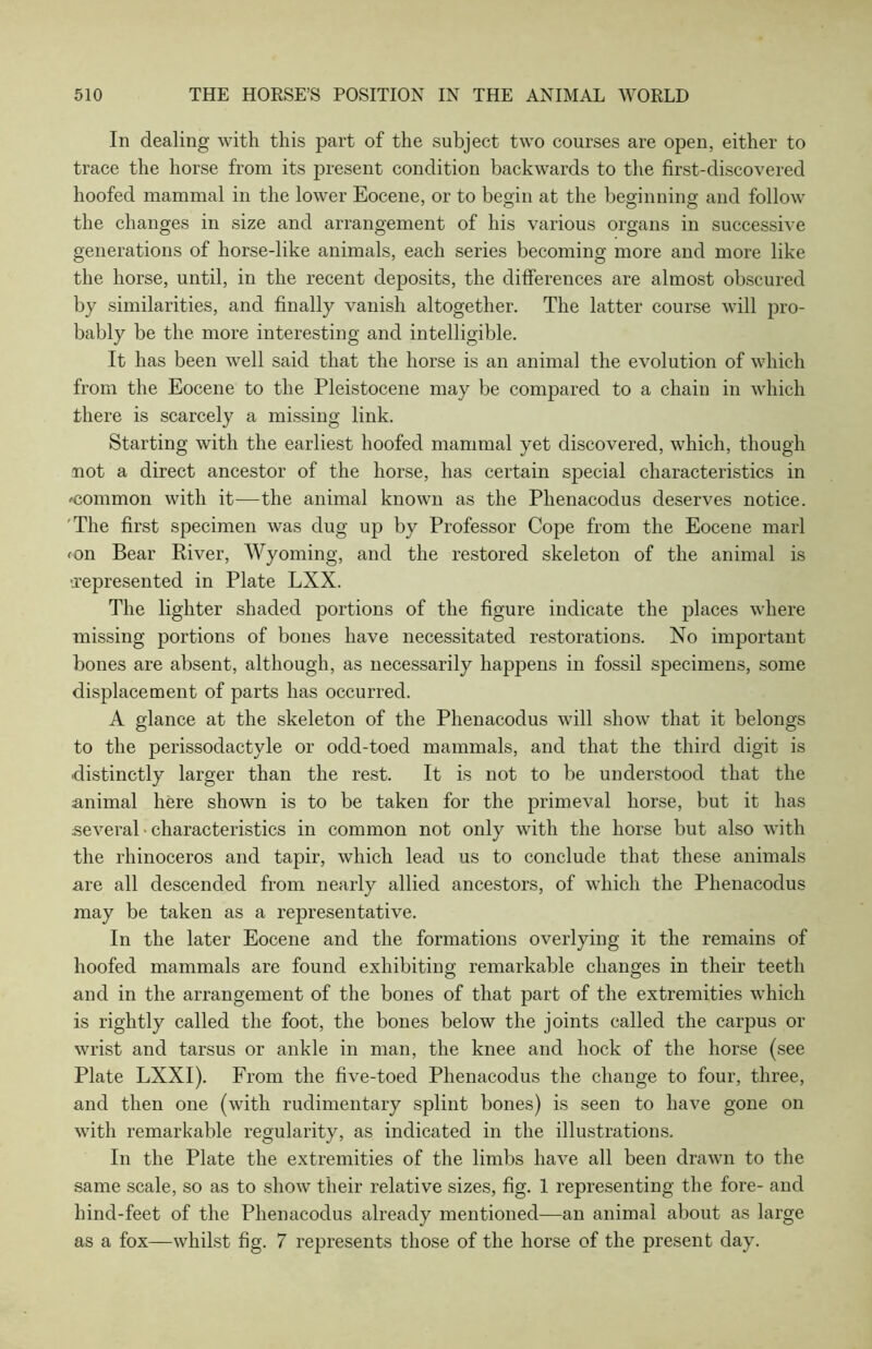 In dealing with this part of the subject two courses are open, either to trace the horse from its present condition backwards to the first-discovered hoofed mammal in the lower Eocene, or to begin at the beginning and follow the changes in size and arrangement of his various organs in successive generations of horse-like animals, each series becoming more and more like the horse, until, in the recent deposits, the differences are almost obscured by similarities, and finally vanish altogether. The latter course will pro- bably be the more interesting and intelligible. It has been well said that the horse is an animal the evolution of which from the Eocene to the Pleistocene may be compared to a chain in which there is scarcely a missing link. Starting with the earliest hoofed mammal yet discovered, which, though not a direct ancestor of the horse, has certain special characteristics in ^common with it—the animal known as the Phenacodus deserves notice. The first specimen was dug up by Professor Cope from the Eocene marl mn Bear Eiver, Wyoming, and the restored skeleton of the animal is •represented in Plate LXX. The lighter shaded portions of the figure indicate the places where missing portions of bones have necessitated restorations. No important bones are absent, although, as necessarily happens in fossil specimens, some displacement of parts has occurred. A glance at the skeleton of the Phenacodus will show that it belongs to the perissodactyle or odd-toed mammals, and that the third digit is distinctly larger than the rest. It is not to be understood that the animal here shown is to be taken for the primeval horse, but it has several • characteristics in common not only with the horse but also with the rhinoceros and tapir, which lead us to conclude that these animals are all descended from nearly allied ancestors, of which the Phenacodus may be taken as a representative. In the later Eocene and the formations overlying it the remains of hoofed mammals are found exhibiting remarkable changes in their teeth and in the arrangement of the bones of that part of the extremities which is rightly called the foot, the bones below the joints called the carpus or wrist and tarsus or ankle in man, the knee and hock of the horse (see Plate LXXI). From the five-toed Phenacodus the change to four, three, and then one (with rudimentary splint bones) is seen to have gone on with remarkable regularity, as indicated in the illustrations. In the Plate the extremities of the limbs have all been drawn to the same scale, so as to show their relative sizes, fig. 1 representing the fore- and hind-feet of the Phenacodus already mentioned—an animal about as large as a fox—whilst fig. 7 represents those of the horse of the present day.