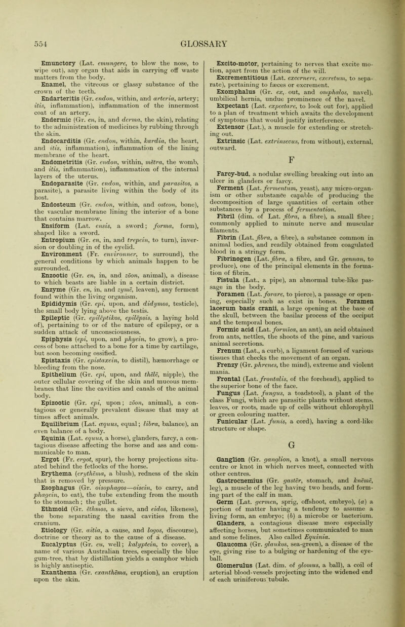 Emunctory (Lat. cmungere, to blow the nose, to wipe out), any organ that aids in carrying off waste matters from the body. Enamel, the vitreous or glassy substance of the crown of the teeth. Endarteritis (Gr. endon, within, and arteria, artery; itis, inflammation), inflammation of the innermost coat of an artery. Endermic (Gr. en, in, and derma, the skin), relating to the administration of medicines by rubbing through the skin. Endocarditis (Gr. endon, within, kardia, the heart, and itis, inflammation), inflammation of the lining membrane of the heart. Endometritis (Gr. endon, within, metra, the womb, and itis, inflammation), inflammation of the internal layers of the uterus. Endoparasite (Gr. endon, within, and parasitos, a parasite), a parasite living within the body of its host. Endosteum (Gr. endon, within, and osteon, bone), the vascular membrane lining the interior of a bone that contains marrow. Ensiform (Lat. ensis, a sword; forma, form), shaped like a sword. Entropium (Gr. en, in, and trepcin, to turn), inver- sion or doubling in of the eyelid. Environment (Fr. emironner, to surround), the general conditions by which animals happen to be surrounded. Enzootic (Gr. en, in, and zoon, animal), a disease to which beasts are liable in a certain district. Enzyme (Gr. en, in, and zyme, leaven), any ferment found within the living organism. Epididymis (Gr. epi, upon, and didymos, testicle), the small body lying above the testis. Epileptic (Gr. epileptikos, epilepsis, a laying hold of), pertaining to or of the nature of epilepsy, or a sudden attack of unconsciousness. Epiphysis (epi, upon, and phycin, to grow), a pro- cess of bone attached to a bone for a time by cartilage, but soon becoming ossified. Epistaxis (Gr. epistaxein, to distil), haemorrhage or bleeding from the nose. Epithelium (Gr. epi, upon, and thele, nipple), the outer cellular covering of the skin and mucous mem- branes that line the cavities and canals of the animal body. Epizootic (Gr. epi, upon; zoon, animal), a con- tagious or generally prevalent disease that may at times affect animals. Equilibrium (Lat. ccquus, equal; libra, balance), an even balance of a bod}'. Equinia (Lat. equus, a horse), glanders, farcy, a con- tagious disease affecting the horse and ass and com- municable to man. Ergot (Fr. ergot, spur), the horny projections situ- ated behind the fetlocks of the horse. Erythema (erythema, a blush), redness of the skin that is removed by pressure. Esophagus (Gr. oisophagos—oisein, to carry, and phagein, to eat), the tube extending from the mouth to the stomach ; the gullet. Ethmoid (Gr. ethmos, a sieve, and eidos, likeness), the bone separating the nasal cavities from the cranium. Etiology (Gr. aitia, a cause, and logos, discourse), doctrine or theory as to the cause of a disease. Eucalyptus (Gr. cu, well; kalyptcin, to cover), a name of various Australian trees, especially the blue gum-tree, that by distillation yields a camphor which is highly antiseptic. Exanthema (Gr. exanthema, eruption), an eruption upon the skin. Excito-motor, pertaining to nerves that excite mo- tion, apart from the action of the will. Excrementitious (Lat. exccrnere, excretum, to sepa- rate), pertaining to fasces or excrement. Exomphalus (Gr. ex, out, and omphalos, navel), umbilical hernia, undue prominence of the navel. Expectant (Lat. cxpcctare, to look out for), applied to a plan of treatment which awaits the development of symptoms that would justify interference. Extensor (Lat.), a muscle for extending or stretch- ing out. Extrinsic (Lat. extrinsecus, from without), external, outward. F Farcy-bud, a nodular swelling breaking out into an ulcer in glanders or farcy. Ferment (Lat. fermentum, yeast), any micro-organ- ism or other substance capable of producing the decomposition of large quantities of certain other substances by a process of fermentation. Fibril (dim. of Lat. fibra, a fibre), a small fibre; commonly applied to minute nerve and muscular filaments. Fibrin (Lat. fibra, a fibre), a substance common in animal bodies, and readily obtained from coagulated blood in a stringy form. Fibrinogen (Lat. fibra, a fibre, and Gr. gennan, to produce), one of the principal elements in the forma- tion of fibrin. Fistula (Lat., a pipe), an abnormal tube-like pas- sage in the body. Foramen (Lat. forare, to pierce), a passage or open- ing, especially such as exist in bones. Foramen lacerum basis cranii, a large opening at the base of the skull, between the basilar process of the occiput and the temporal bones. Formic acid (Lat. formica, an ant), an acid obtained from ants, nettles, the shoots of the pine, and various animal secretions. Frenum (Lat., a curb), a ligament formed of various tissues that checks the movement of an organ. Frenzy (Gr. phrenes, the mind), extreme and violent mania. Frontal (Lat. frontalis, of the forehead), applied to the superior bone of the face. Fungus (Lat. fungus, a toadstool), a plant of the class Fungi, which are parasitic plants without stems, leaves, or roots, made up of cells without chlorophyll or green colouring matter. Funicular (Lat. funis, a cord), having a cord-like structure or shape. G Ganglion (Gr. ganglion, a knot), a small nervous centre or knot in which nerves meet, connected with other centres. Gastrocnemius (Gr. gaster, stomach, and kneme, leg), a muscle of the leg having two heads, and form- ing part of the calf in man. Germ (Lat. germen, sprig, offshoot, embryo), (a) a portion of matter having a tendency to assume a living form, an embryo; (b) a microbe or bacterium. Glanders, a contagious disease more especially affecting horses, but sometimes communicated to man and some felines. Also called Equinia. Glaucoma (Gr. glaukos, sea-green), a disease of the eye, giving rise to a bulging or hardening of the eye- ball. Glomerulus (Lat. dim. of glomus, a ball), a coil of arterial blood-vessels projecting into the widened end of each uriniferous tubule.